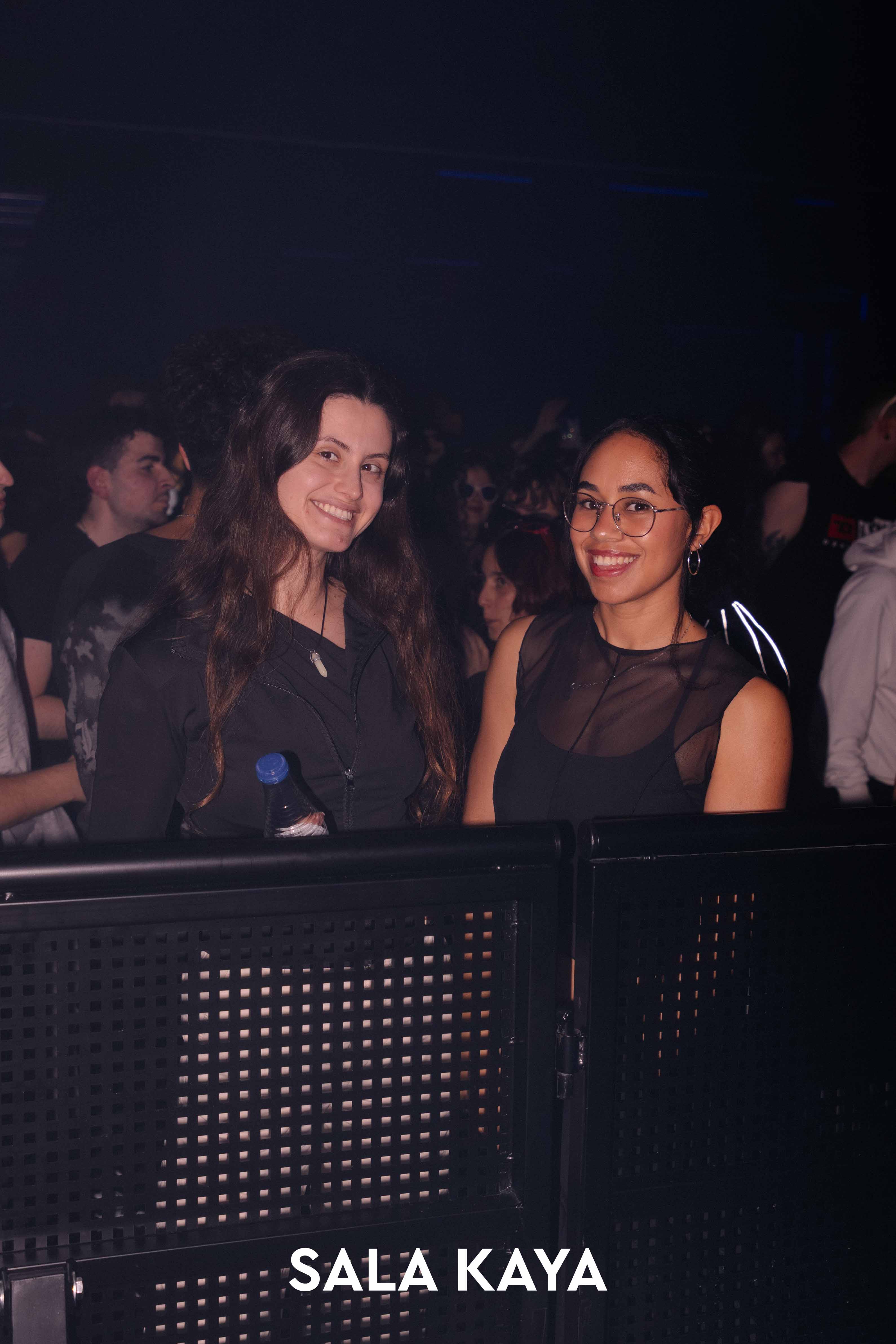 foto de público de PARKINEOS & AMYGDALA