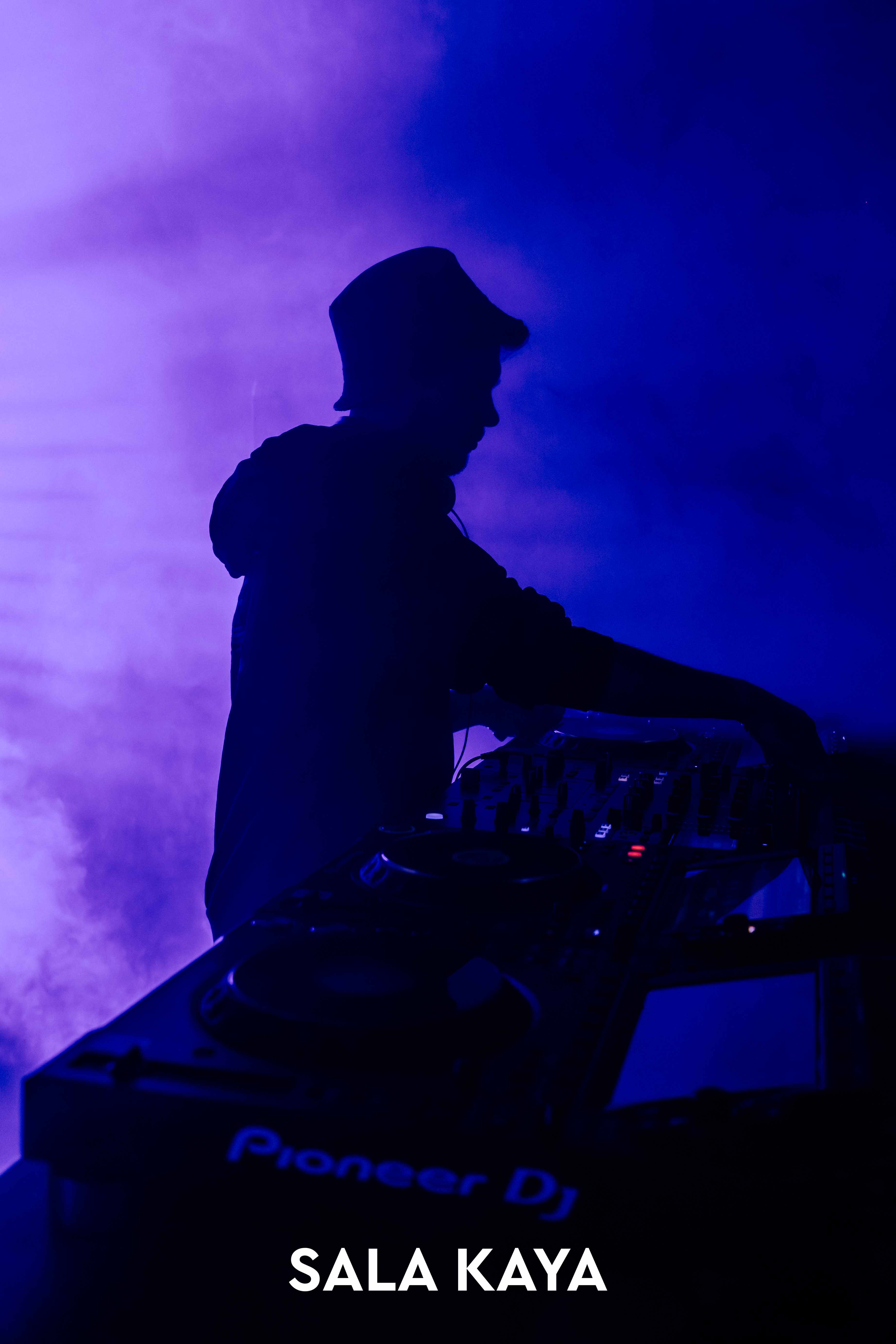 foto de público de PARKINEOS & AMYGDALA