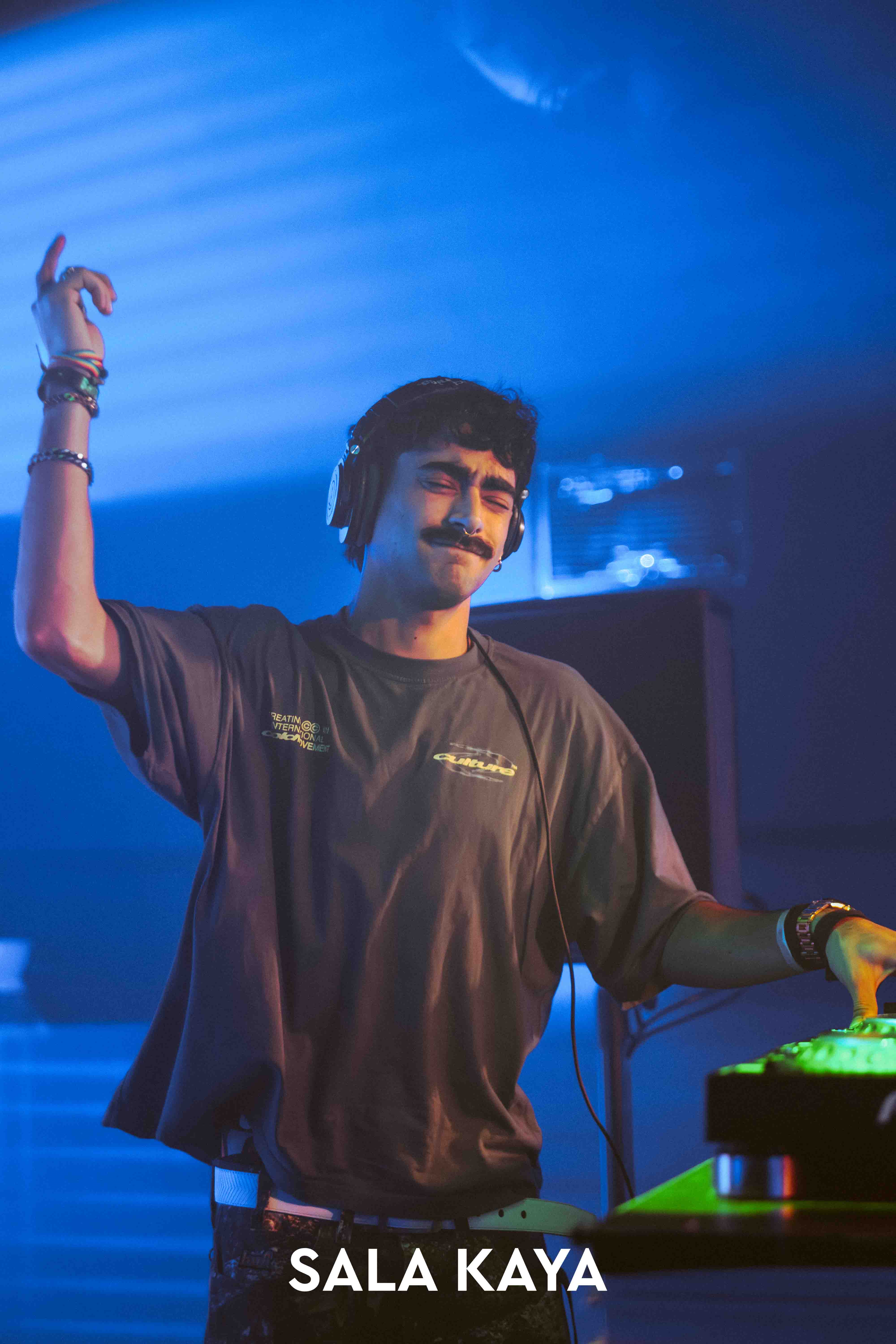 foto de público de PARKINEOS & AMYGDALA