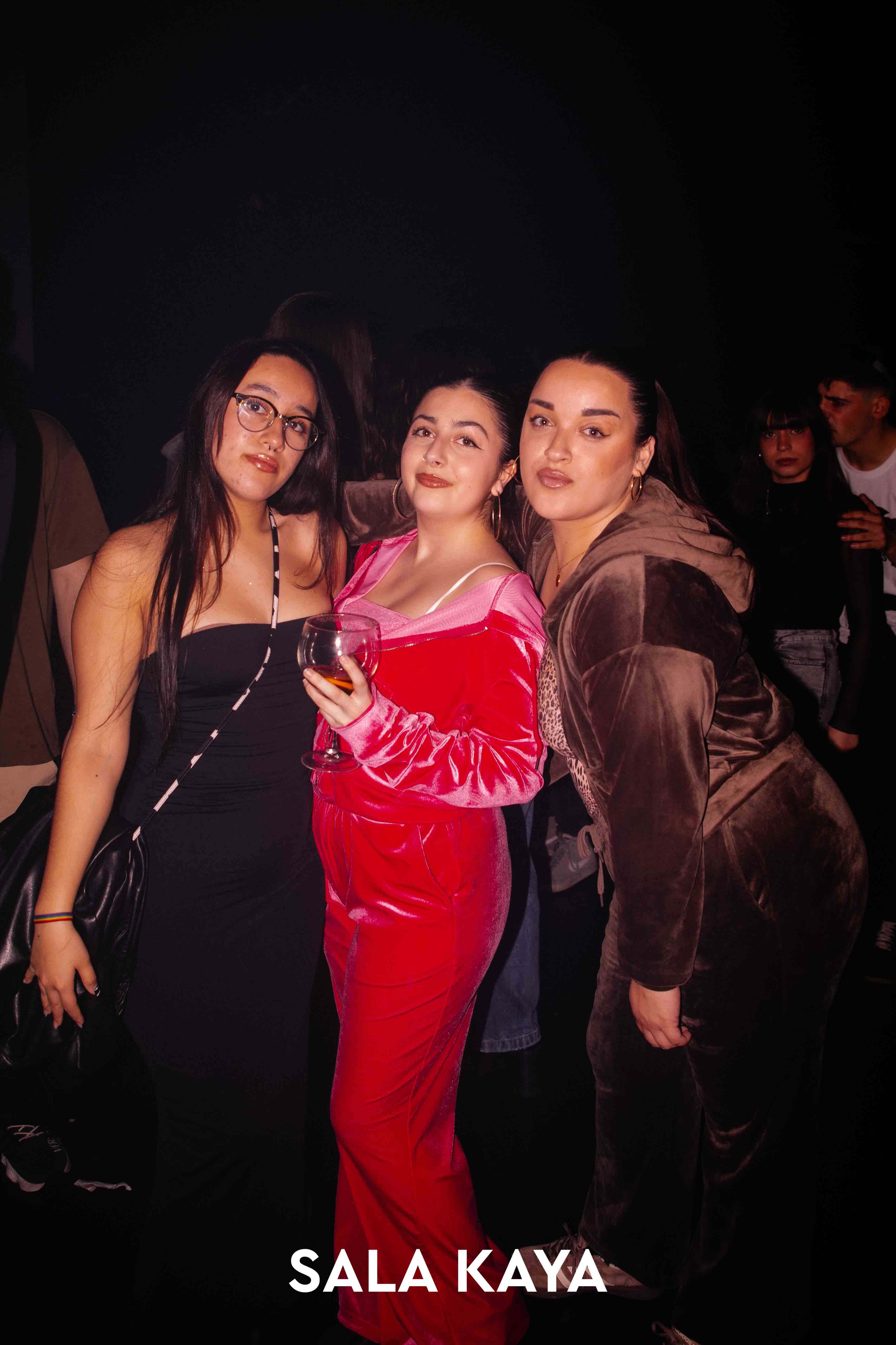 foto de público de PARKINEOS & AMYGDALA