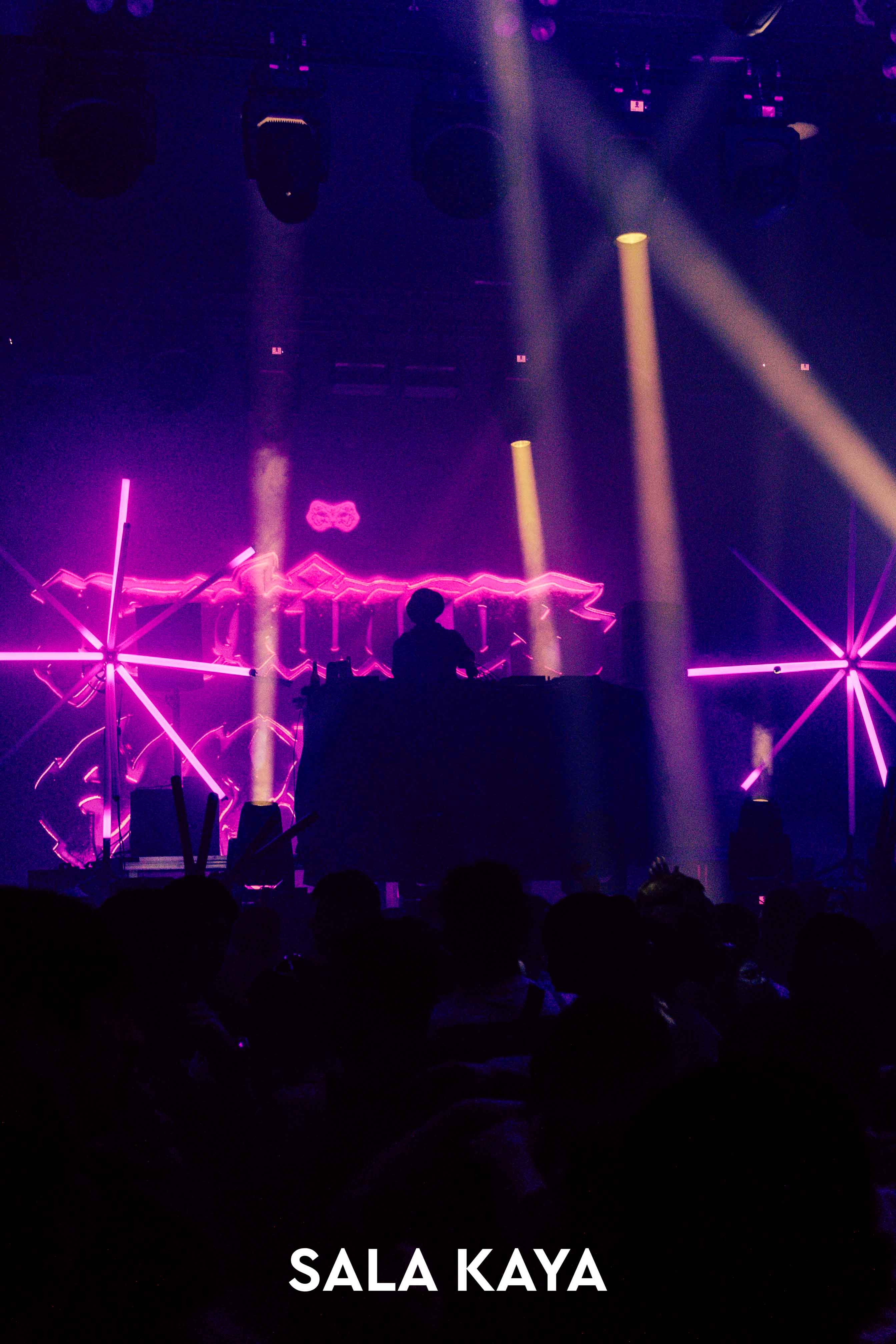 foto de público de PARKINEOS & AMYGDALA