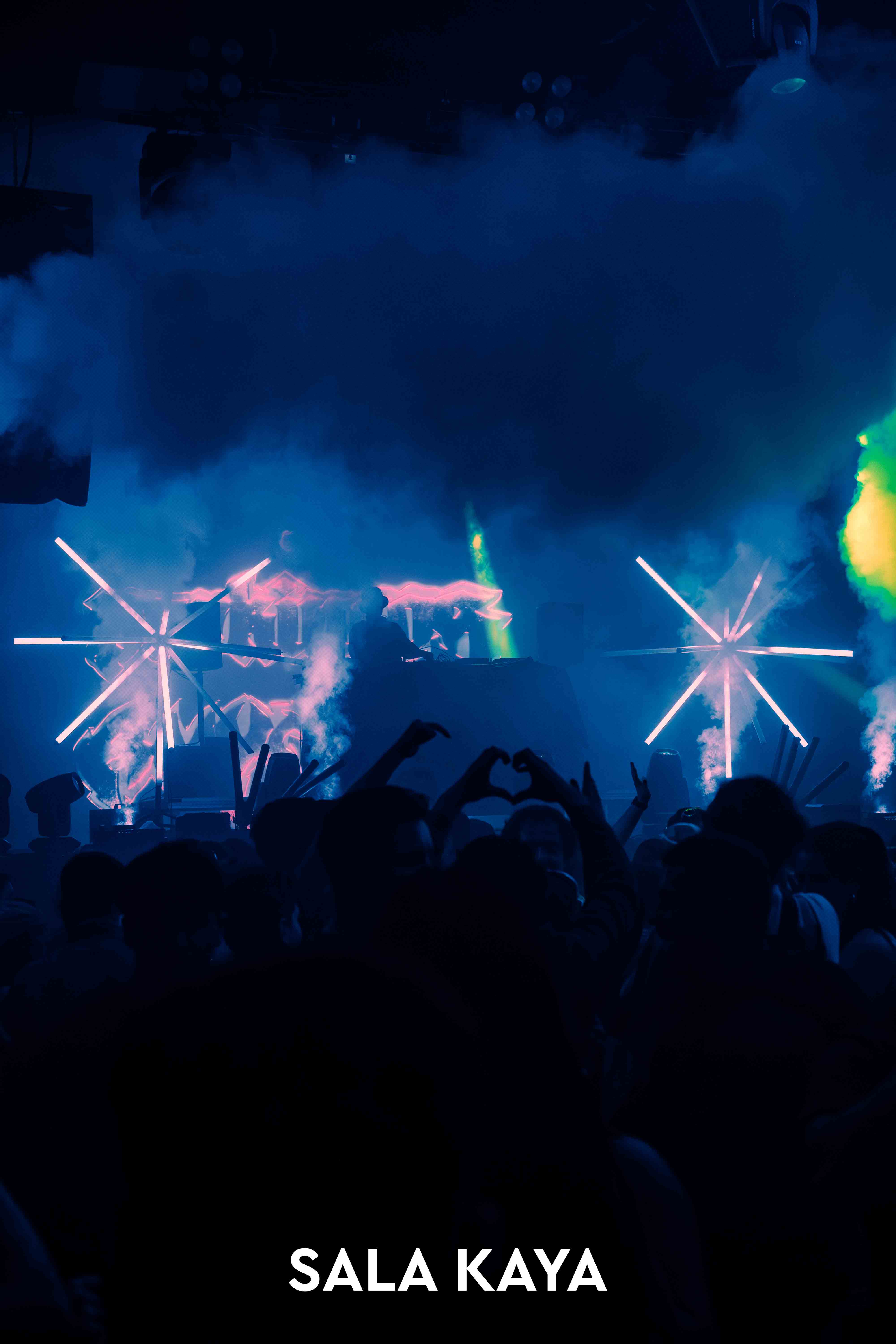 foto de público de PARKINEOS & AMYGDALA