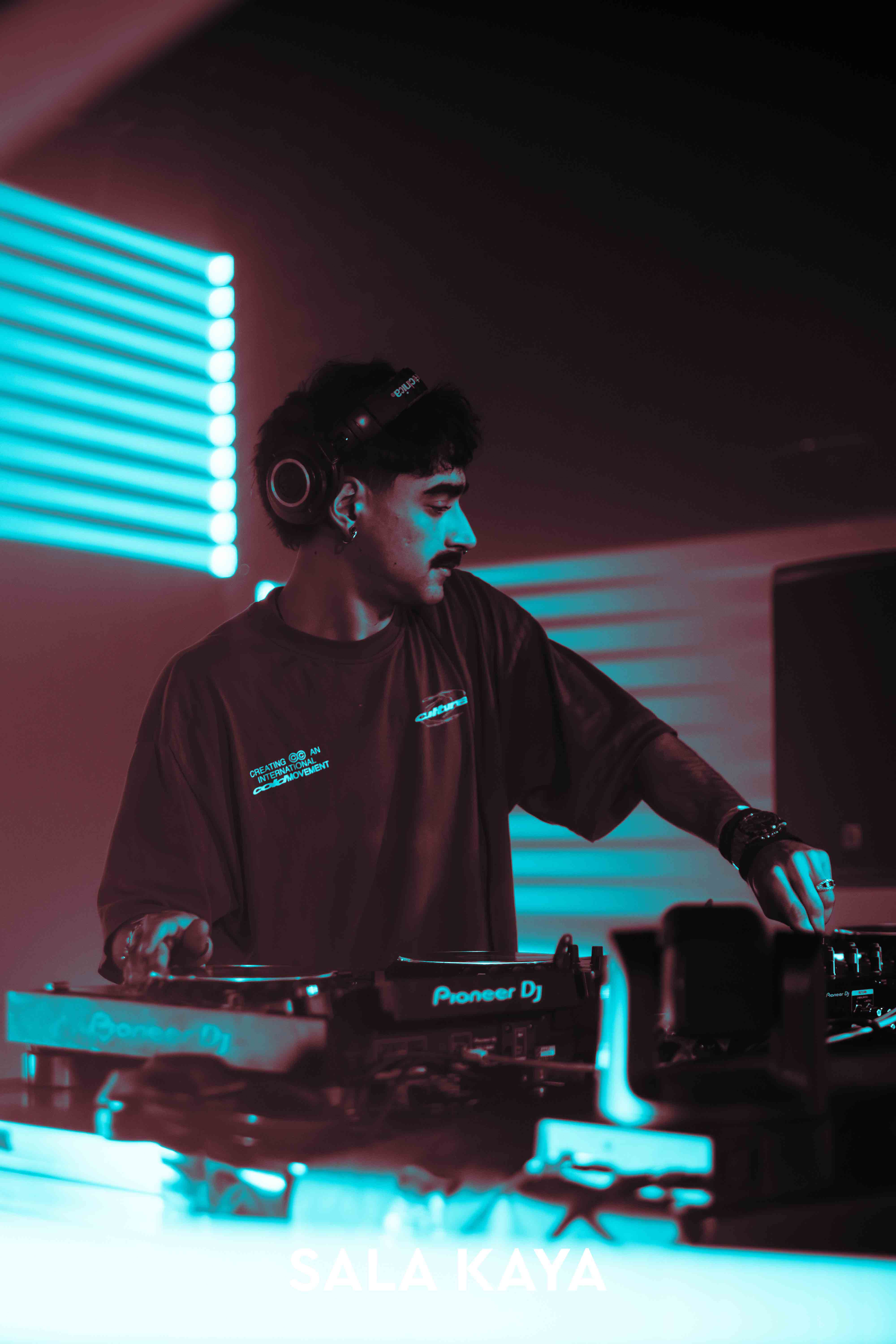 foto de público de PARKINEOS & AMYGDALA