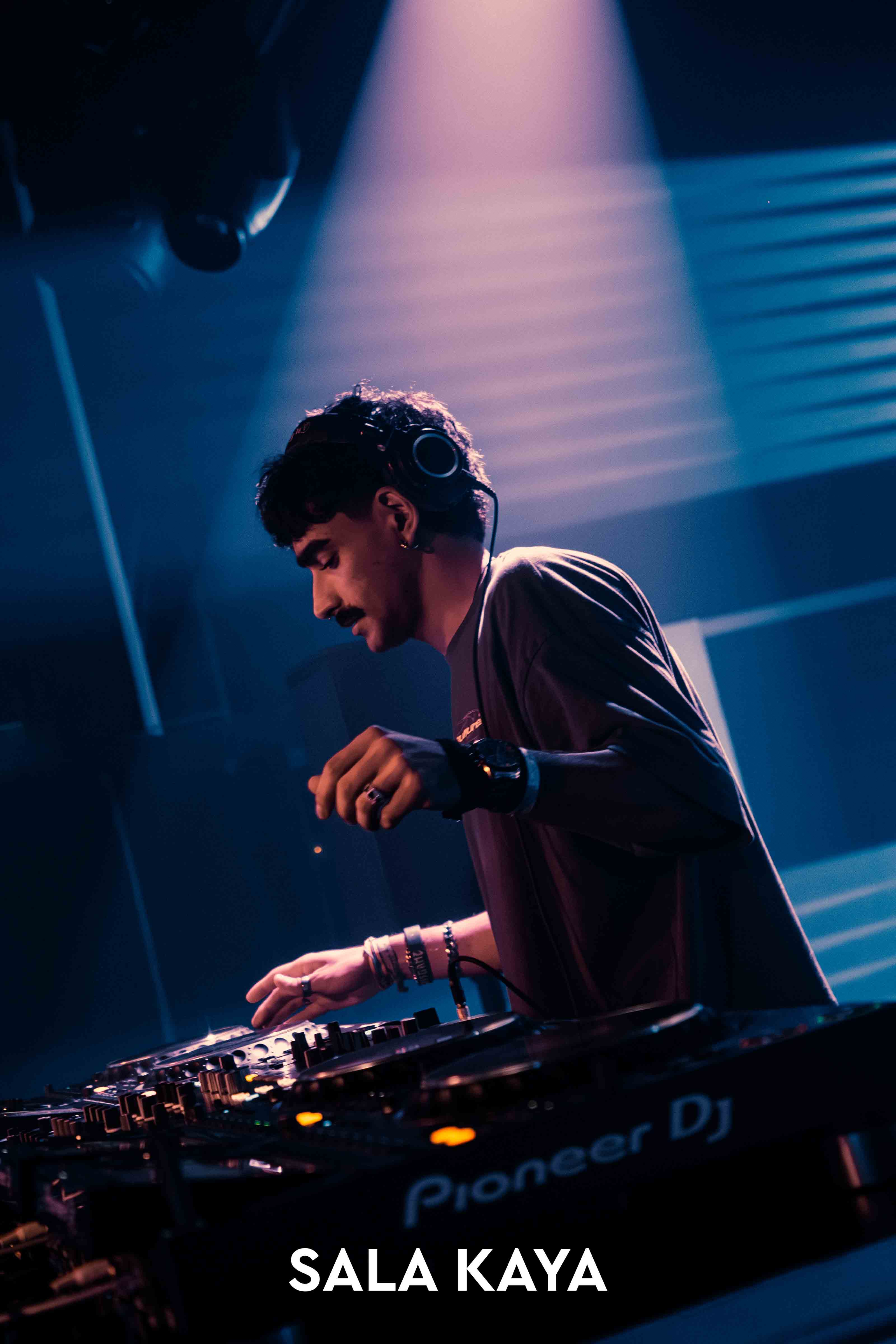 foto de público de PARKINEOS & AMYGDALA