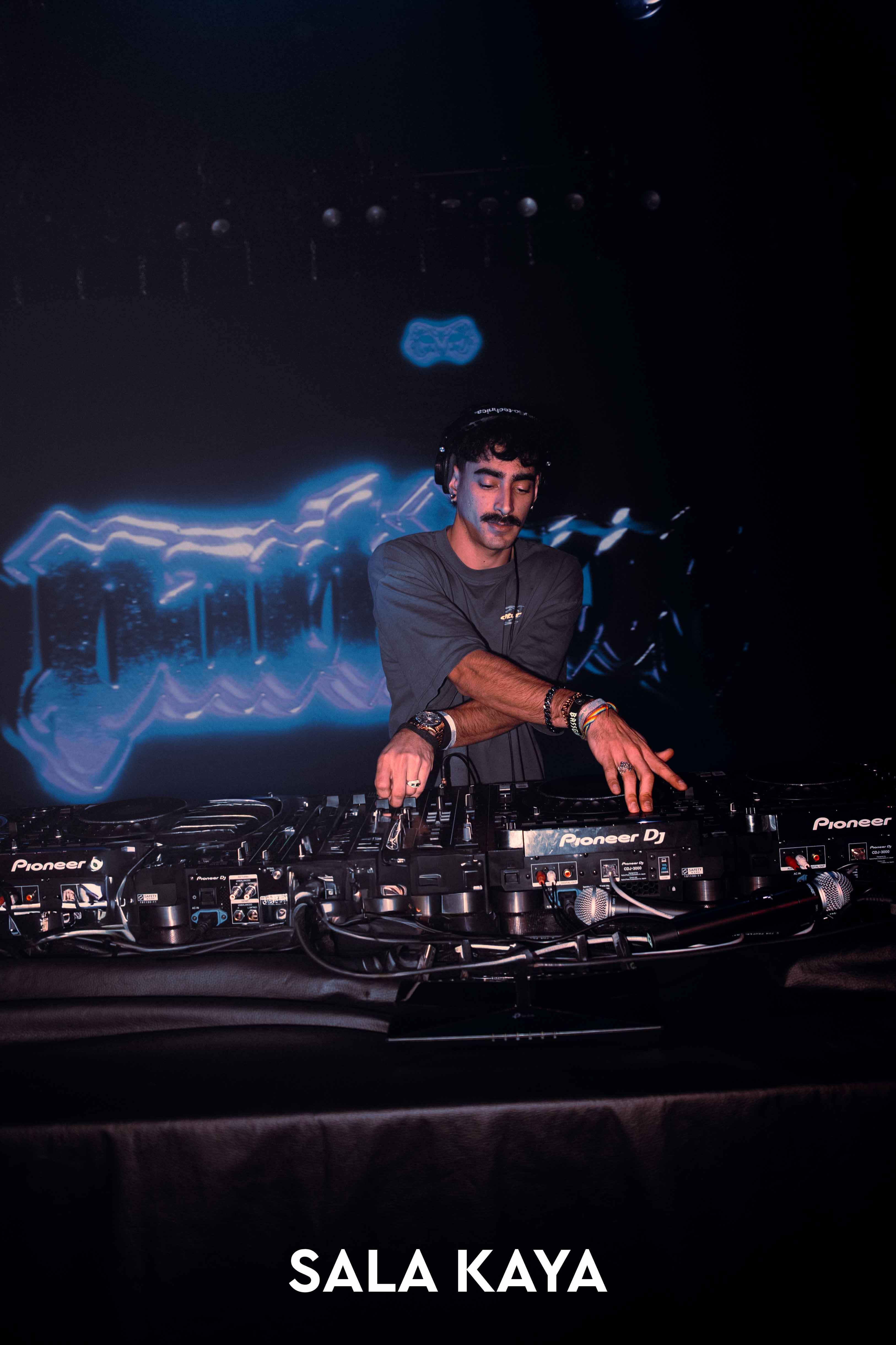 foto de público de PARKINEOS & AMYGDALA