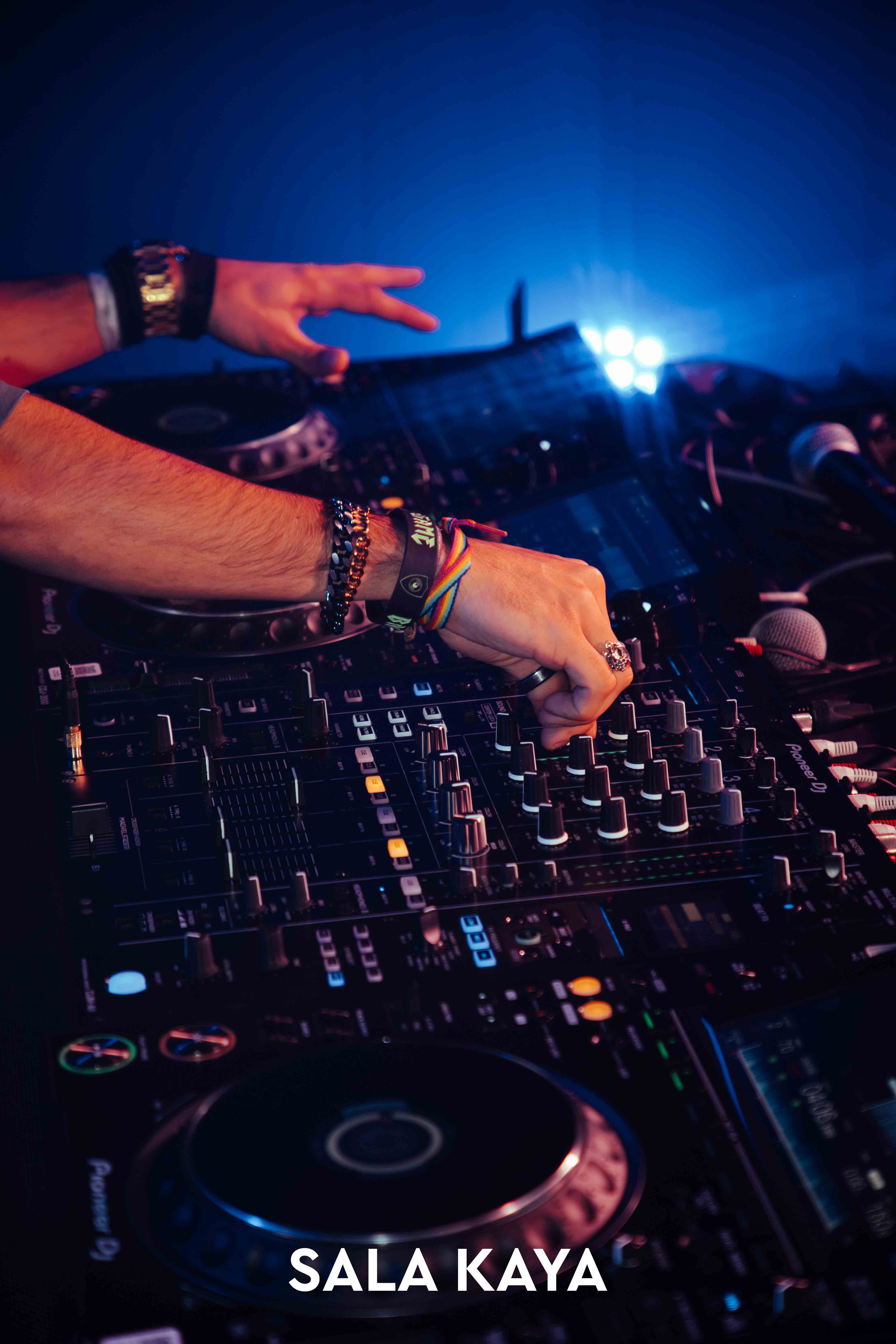 foto de público de PARKINEOS & AMYGDALA