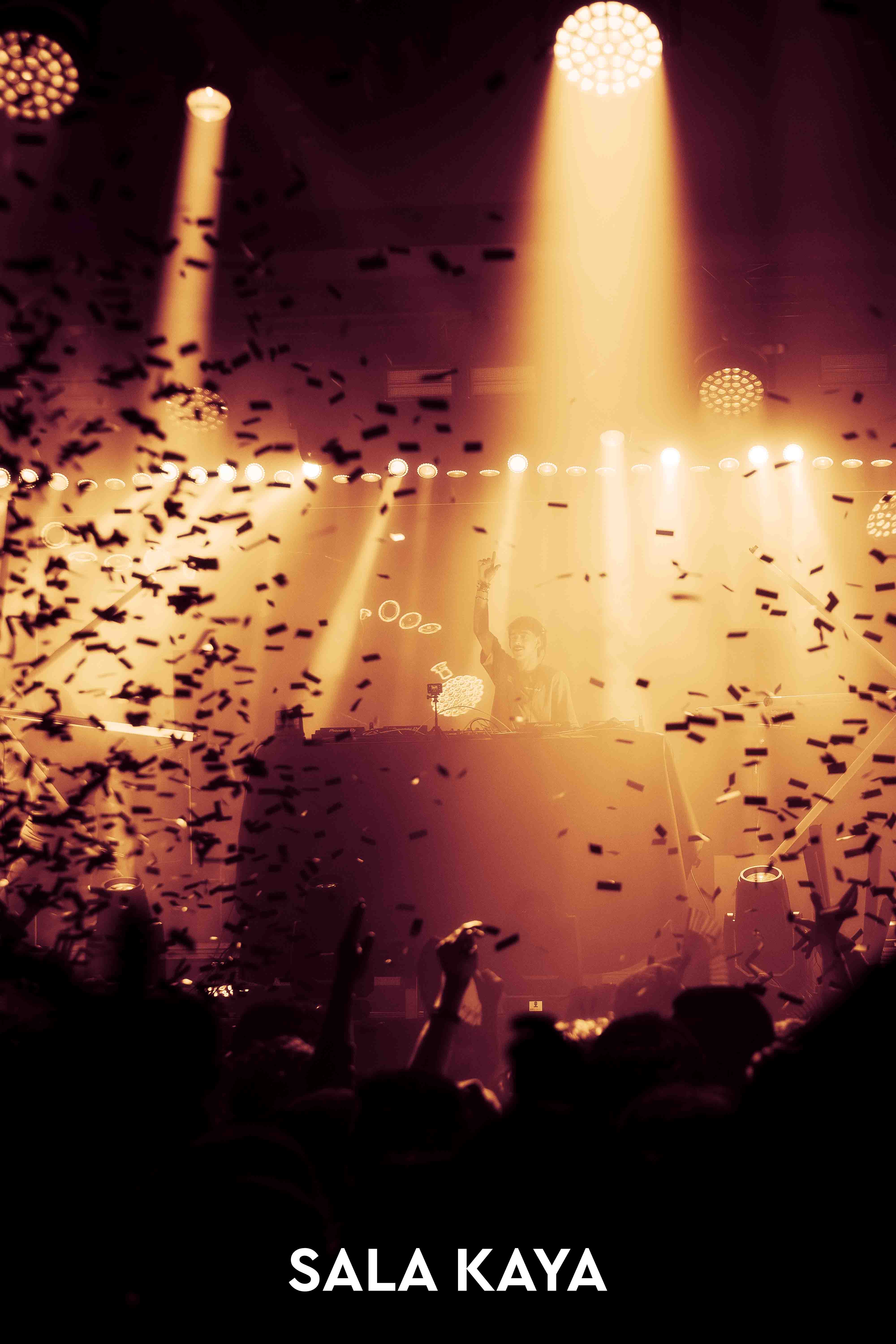 foto de público de PARKINEOS & AMYGDALA