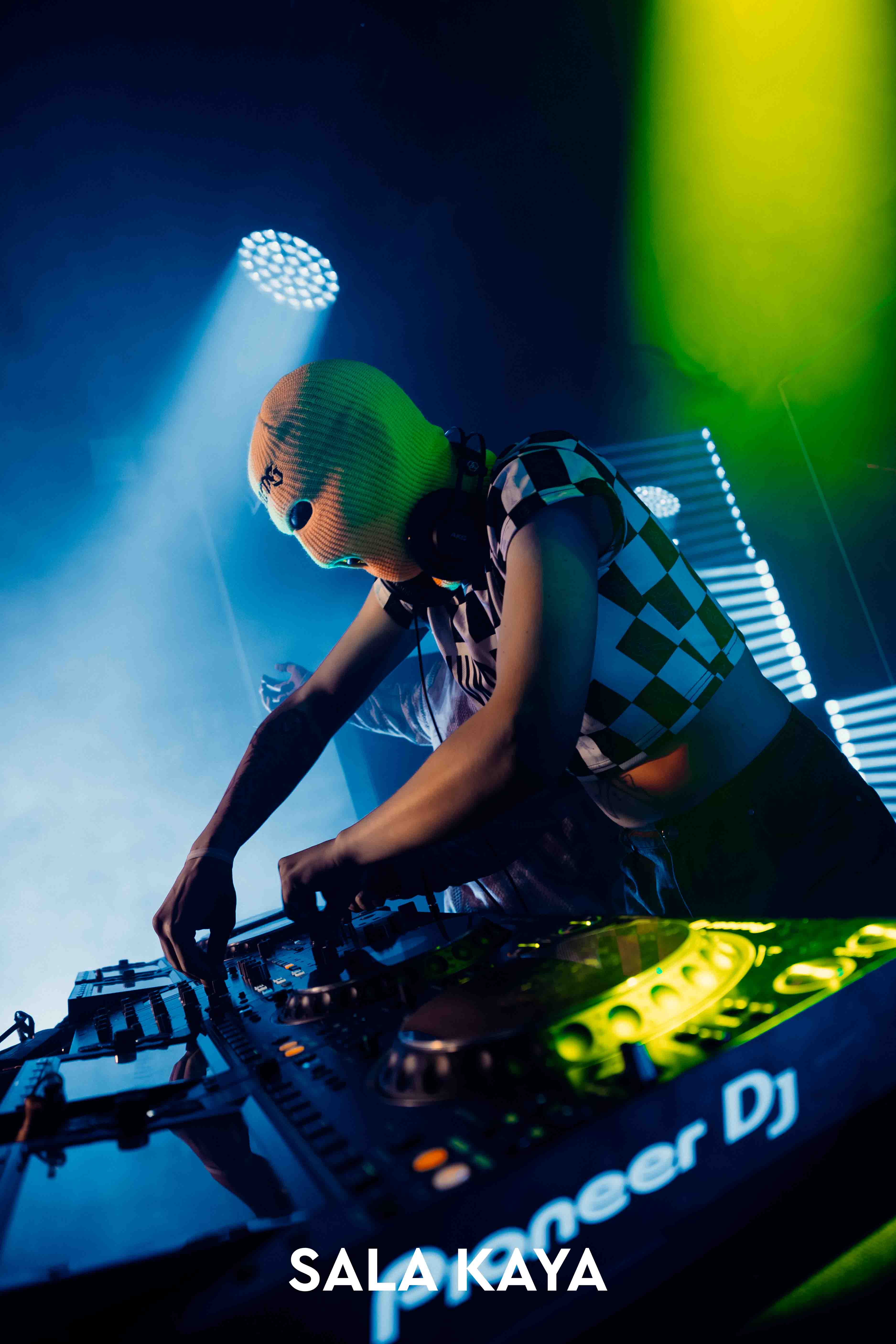 foto de público de PARKINEOS & AMYGDALA