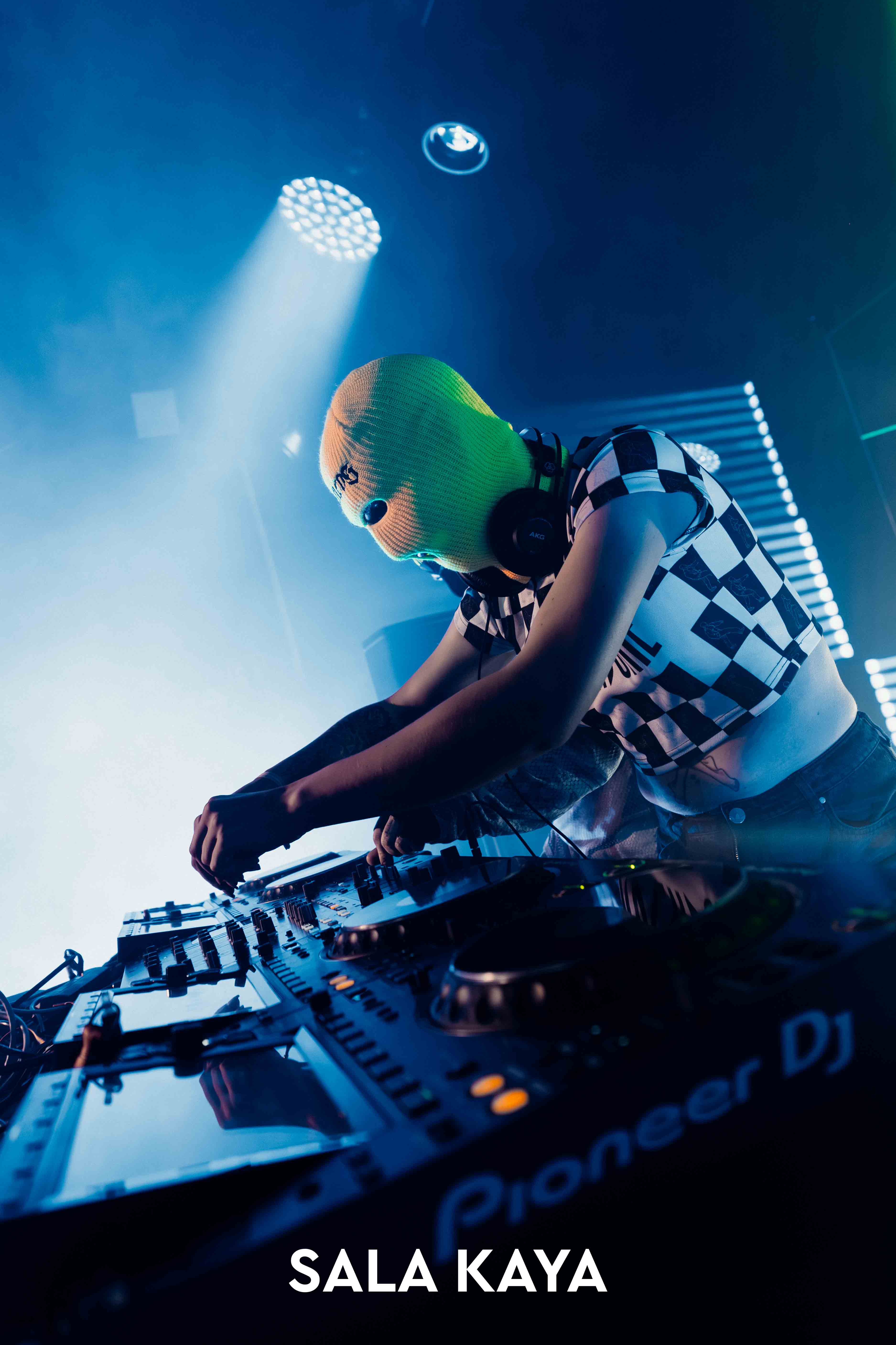 foto de público de PARKINEOS & AMYGDALA