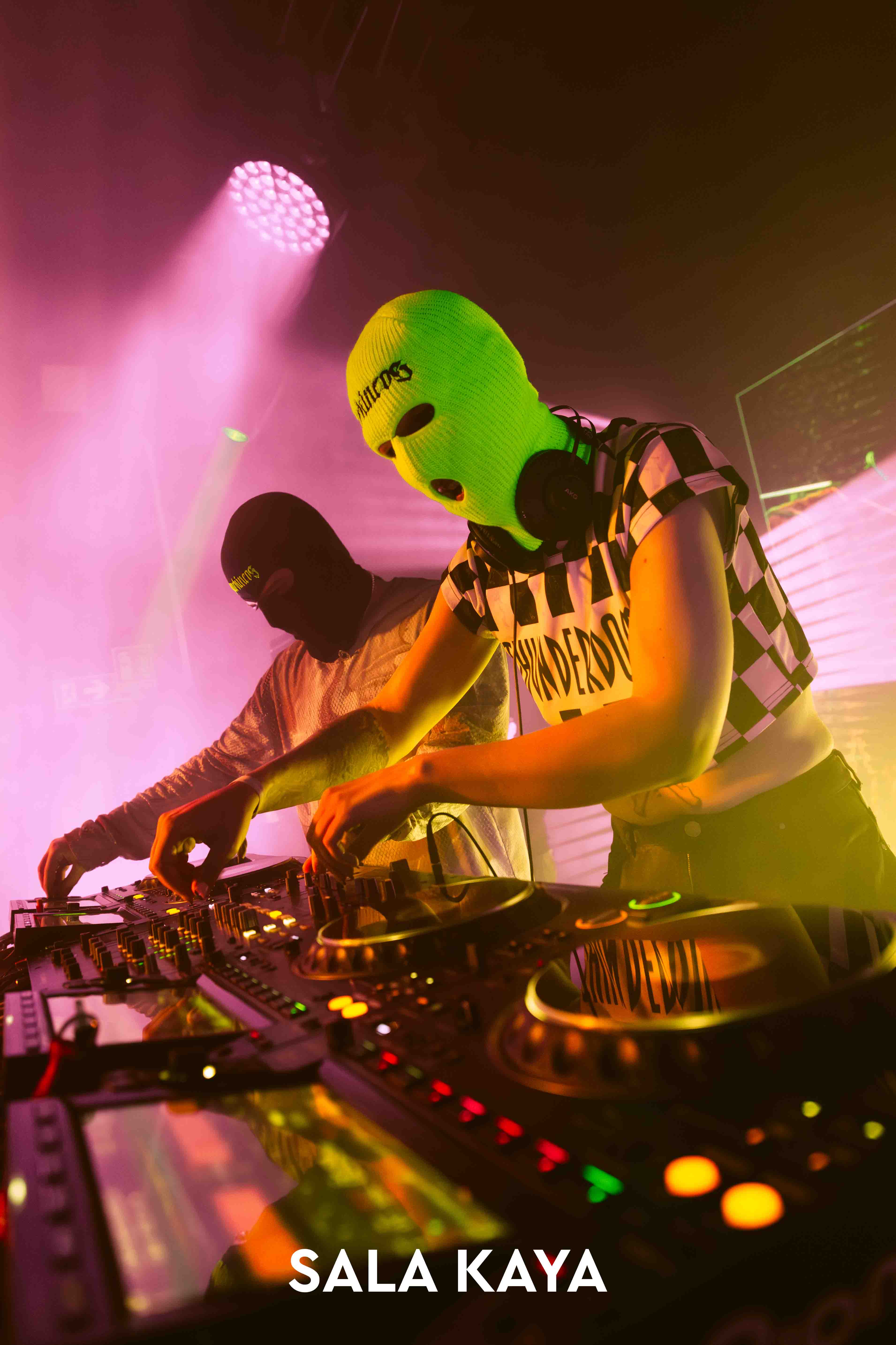 foto de público de PARKINEOS & AMYGDALA