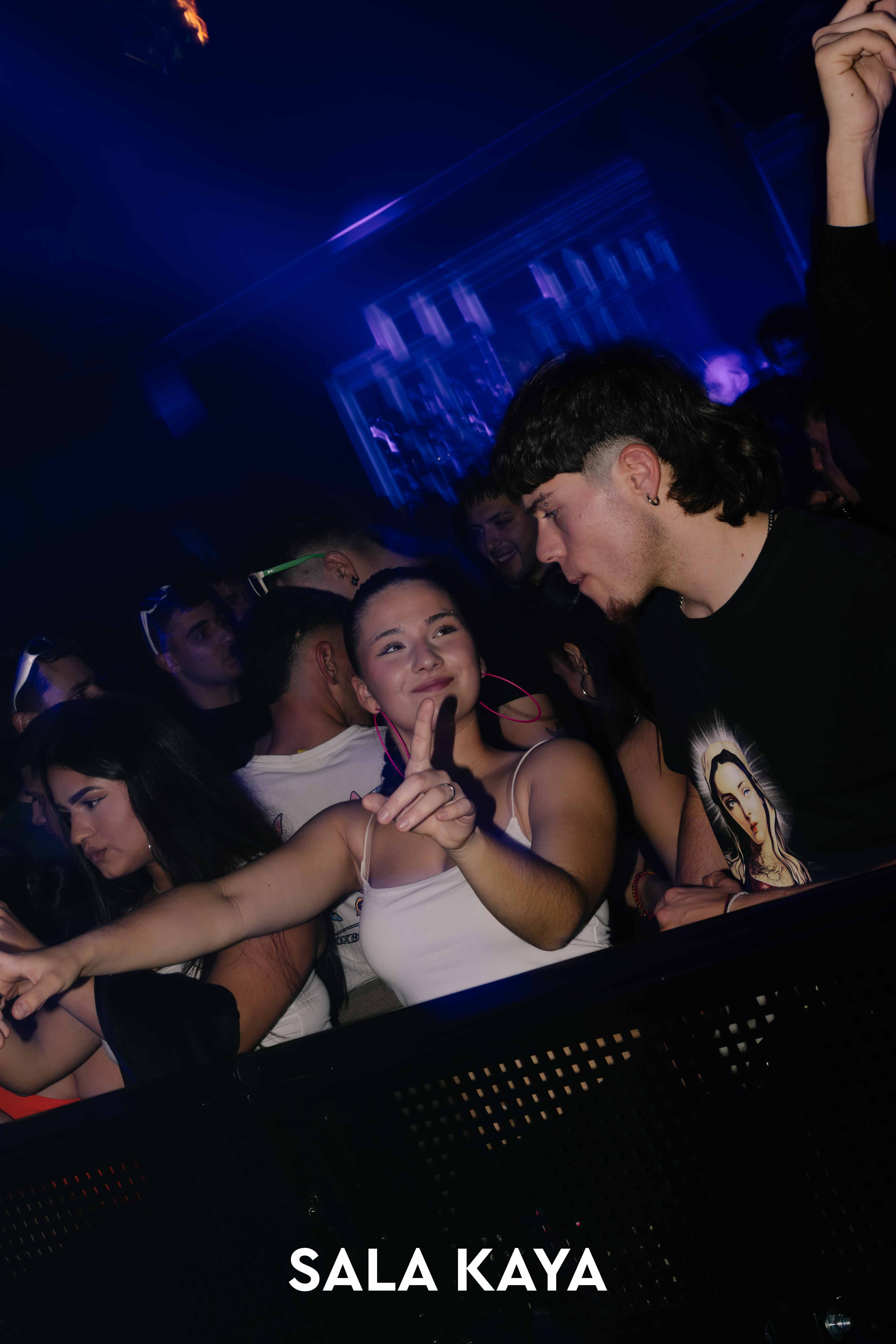 foto de público de PARKINEOS & AMYGDALA