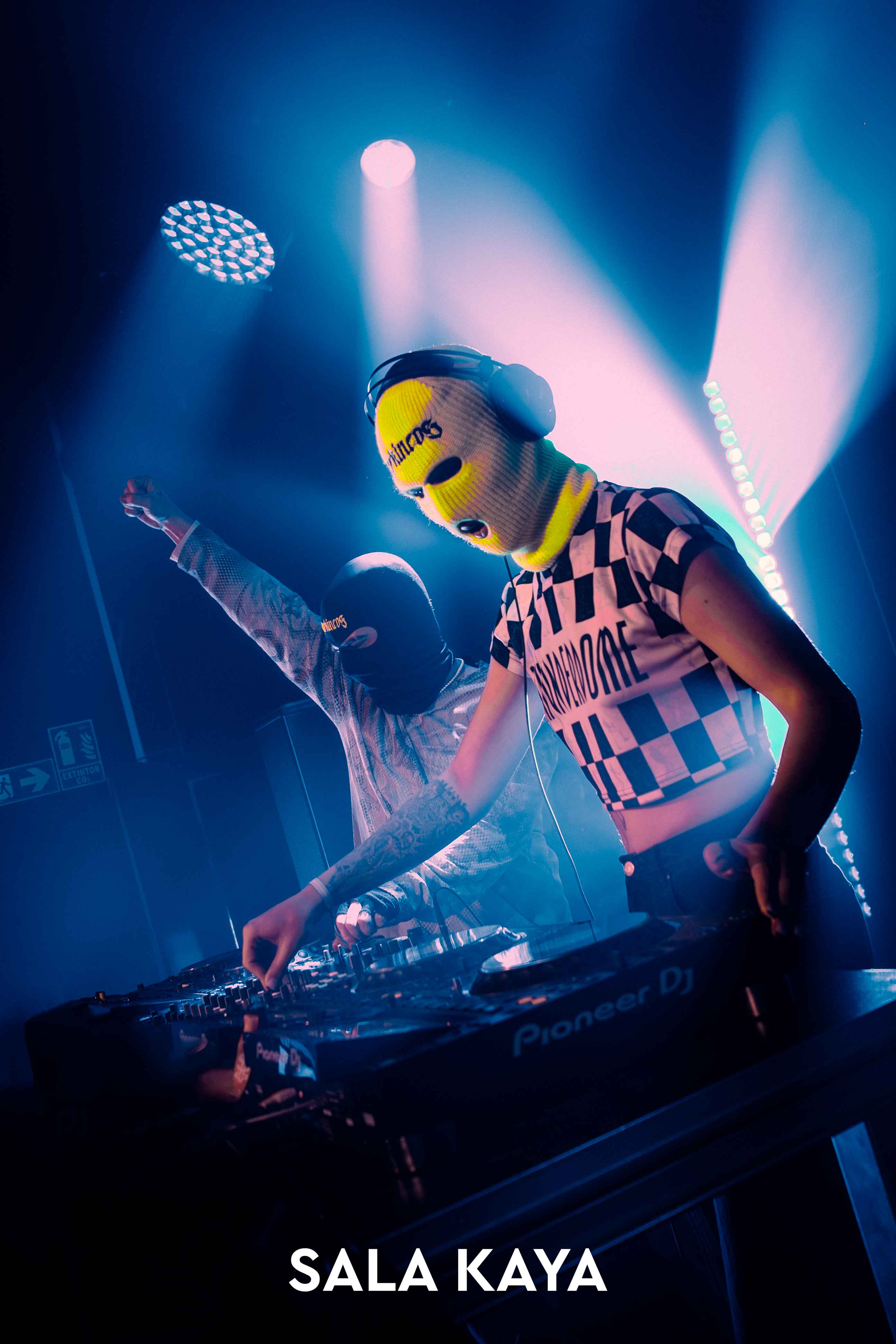 foto de público de PARKINEOS & AMYGDALA