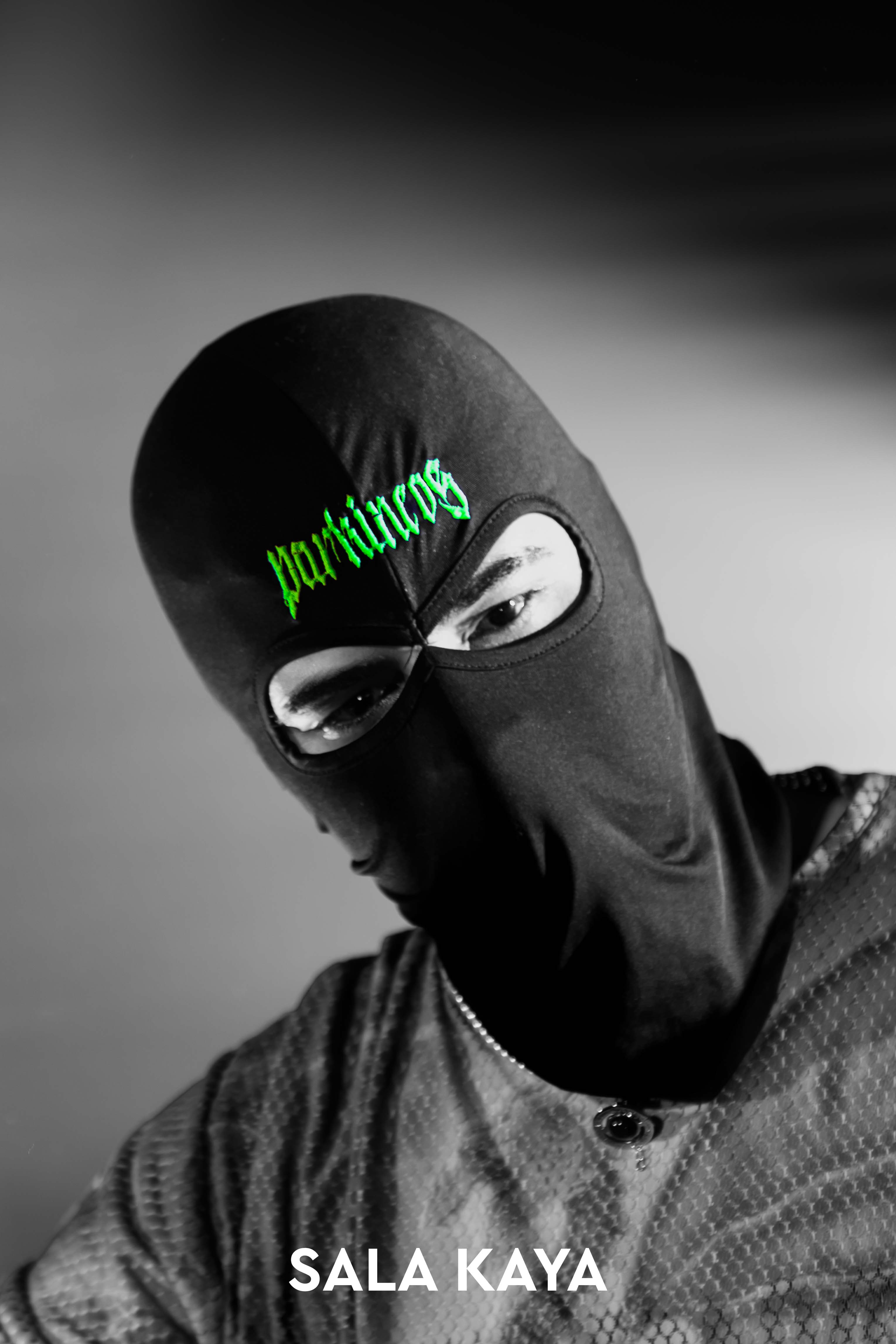 foto de público de PARKINEOS & AMYGDALA