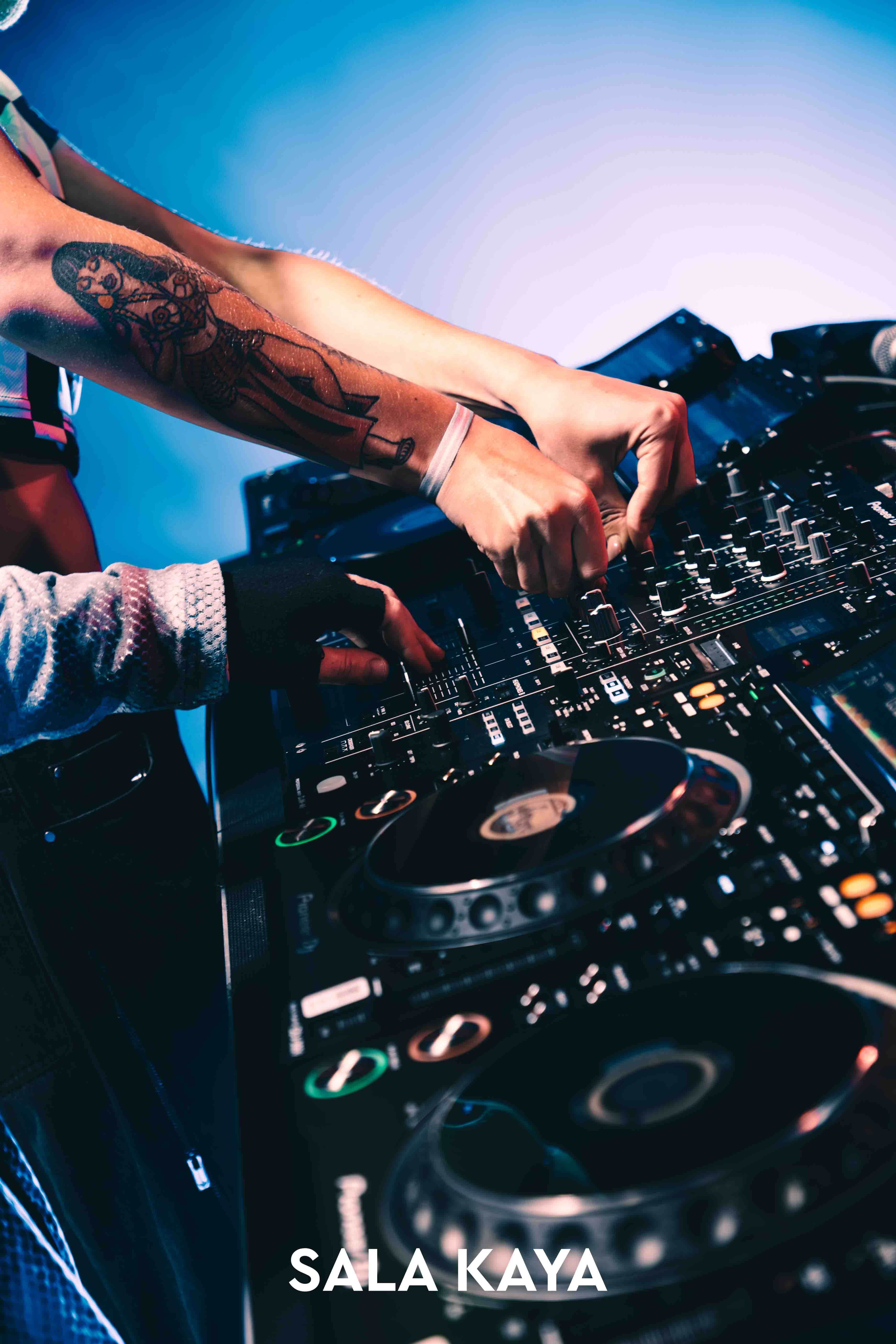 foto de público de PARKINEOS & AMYGDALA