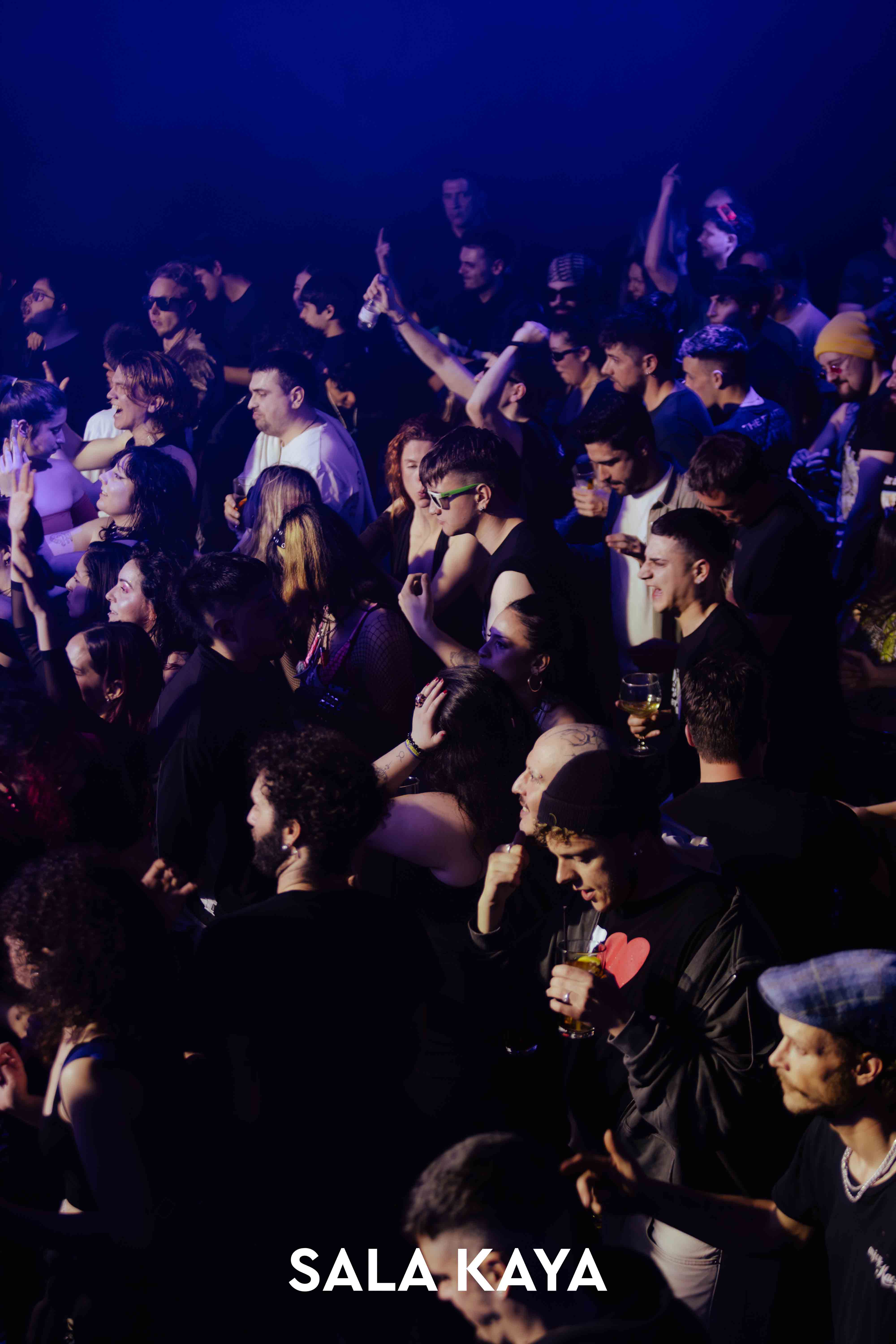 foto de público de PARKINEOS & AMYGDALA