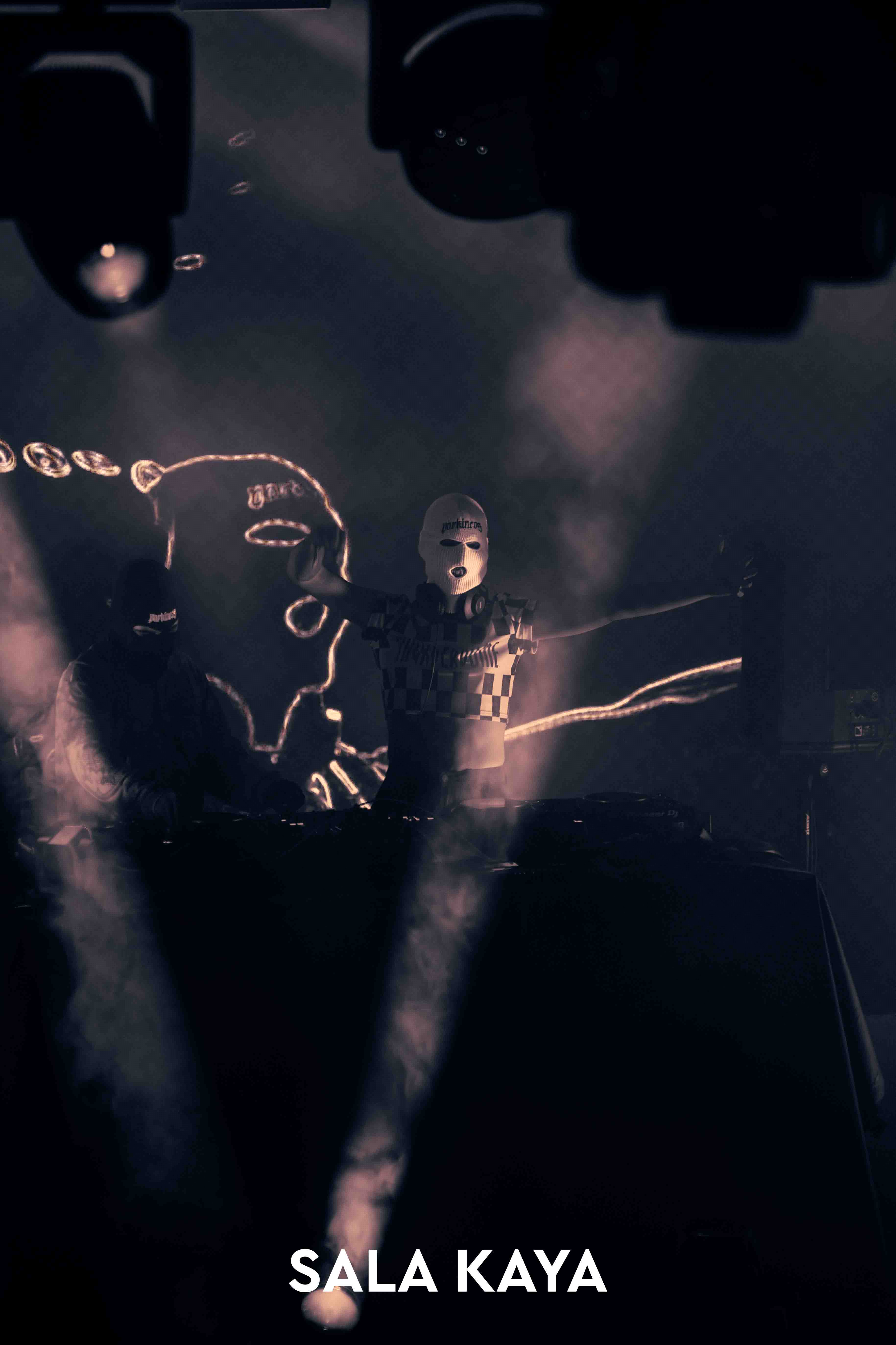 foto de público de PARKINEOS & AMYGDALA