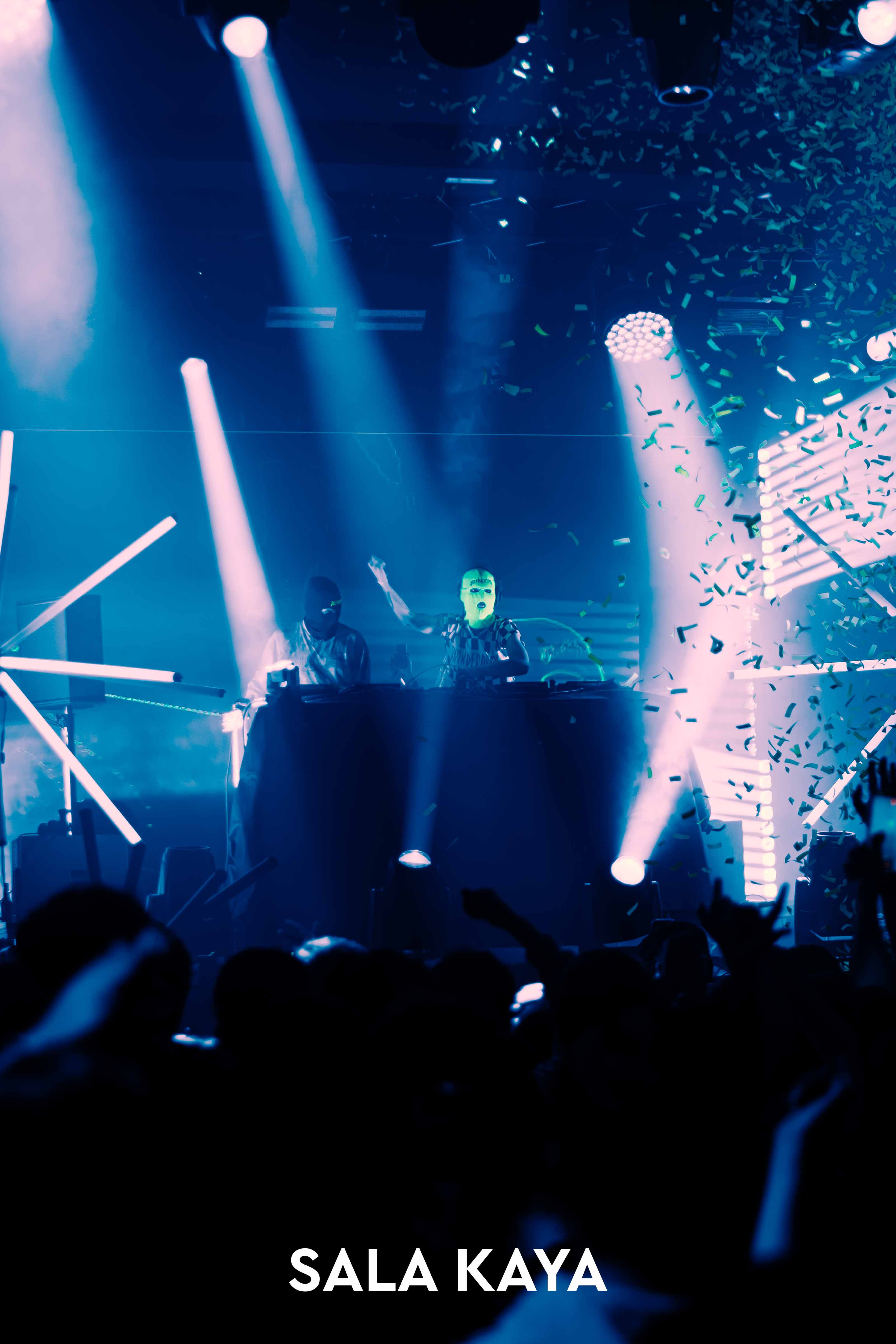 foto de público de PARKINEOS & AMYGDALA