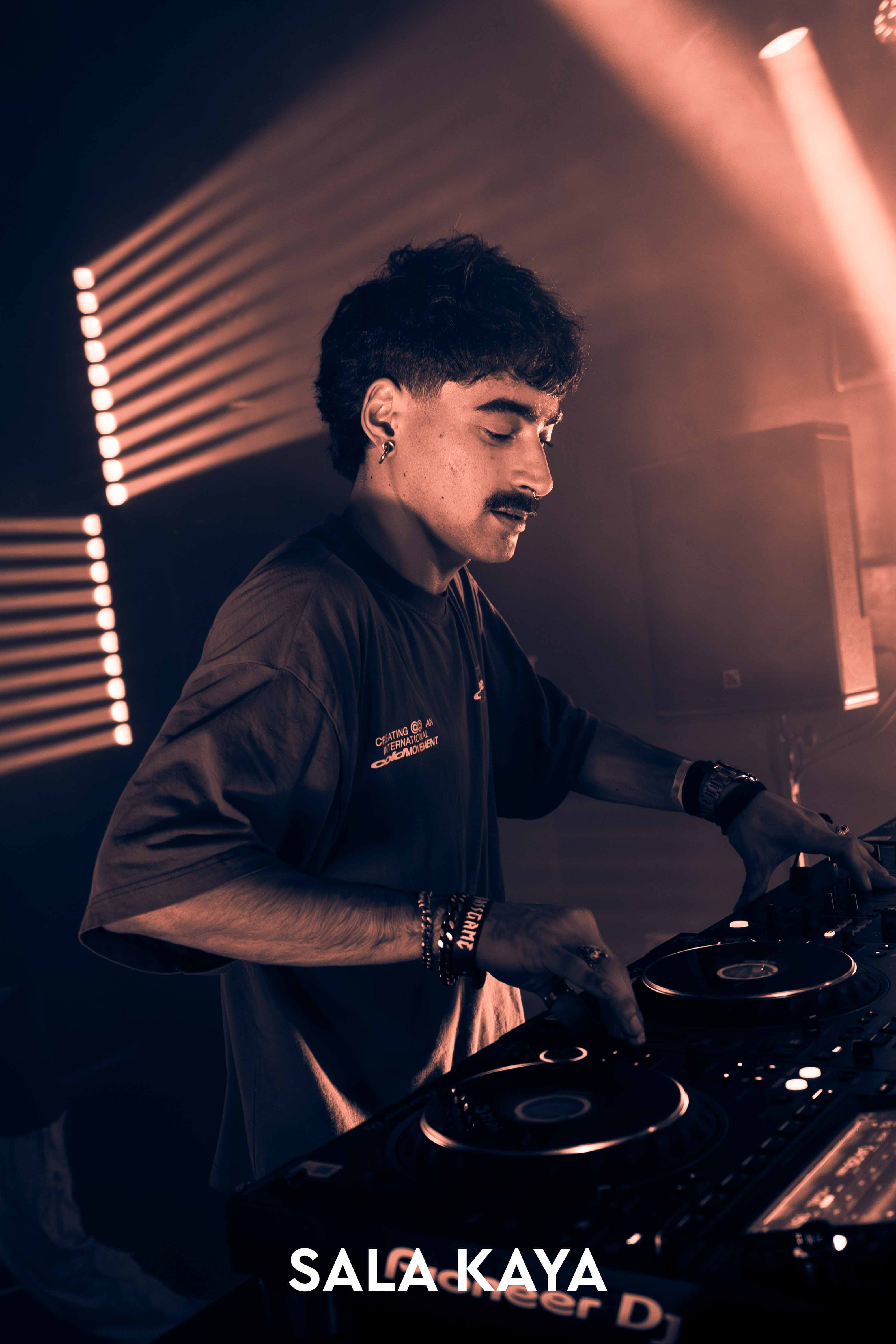 foto de público de PARKINEOS & AMYGDALA