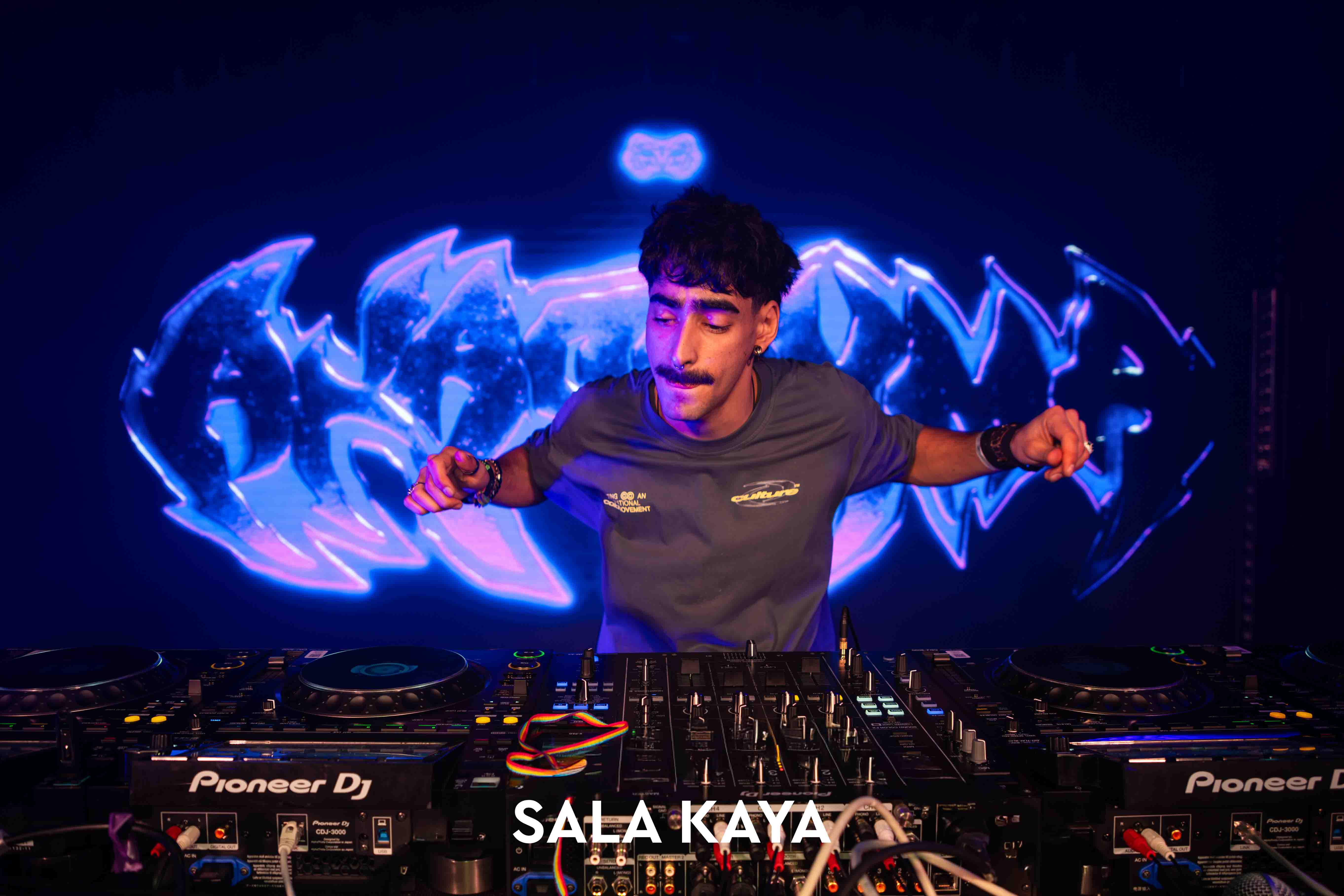 foto de público de PARKINEOS & AMYGDALA