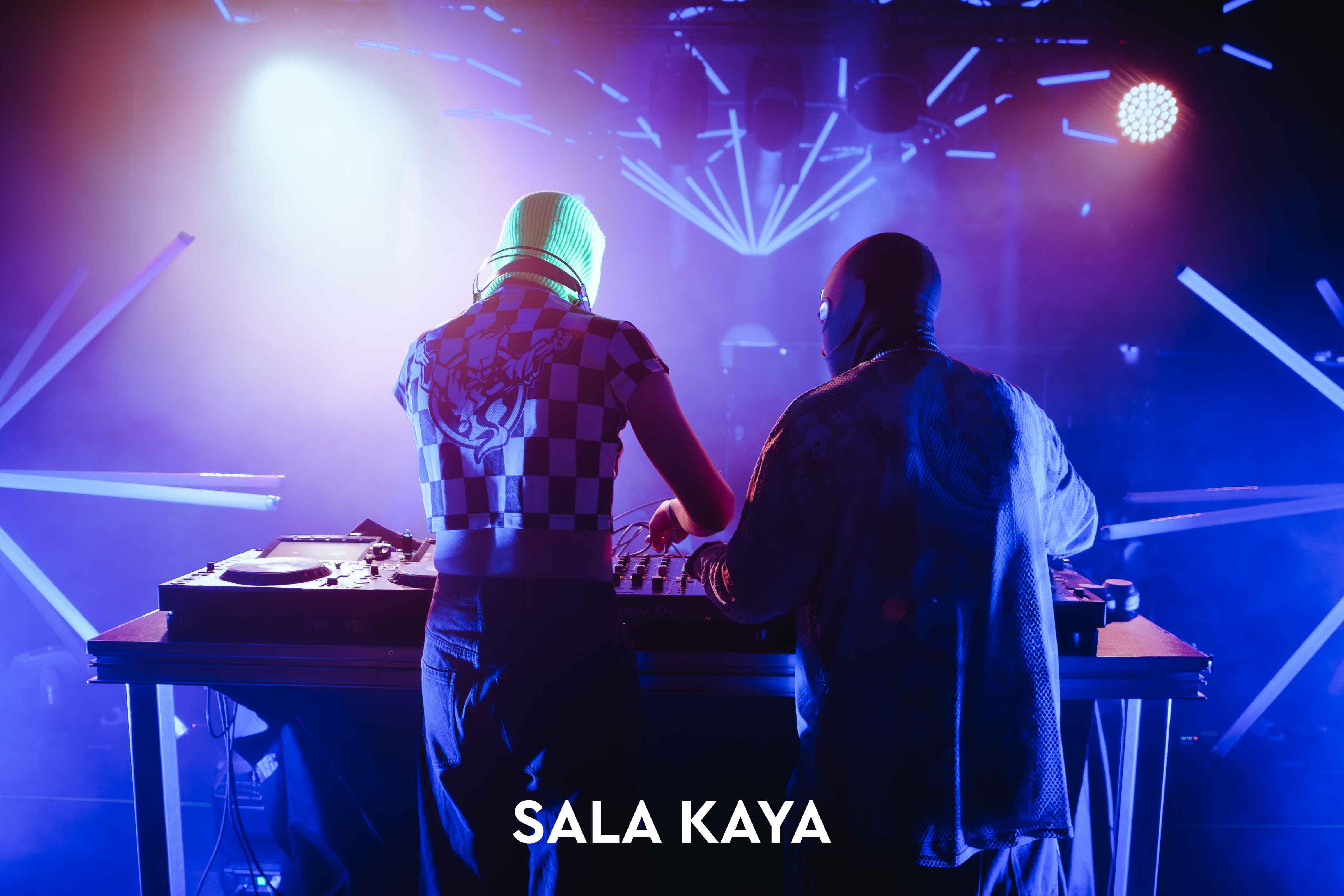 foto de público de PARKINEOS & AMYGDALA