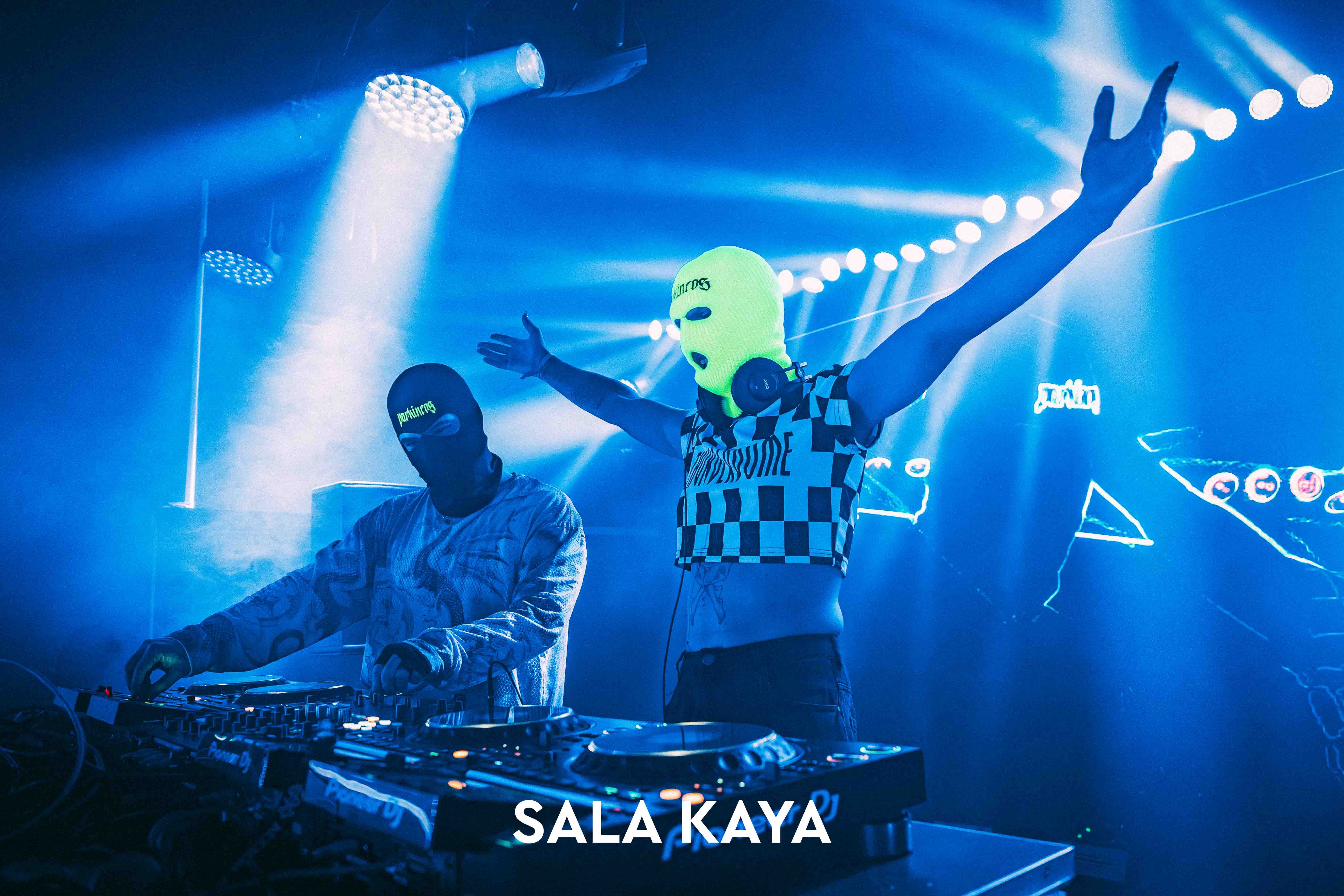 foto de público de PARKINEOS & AMYGDALA