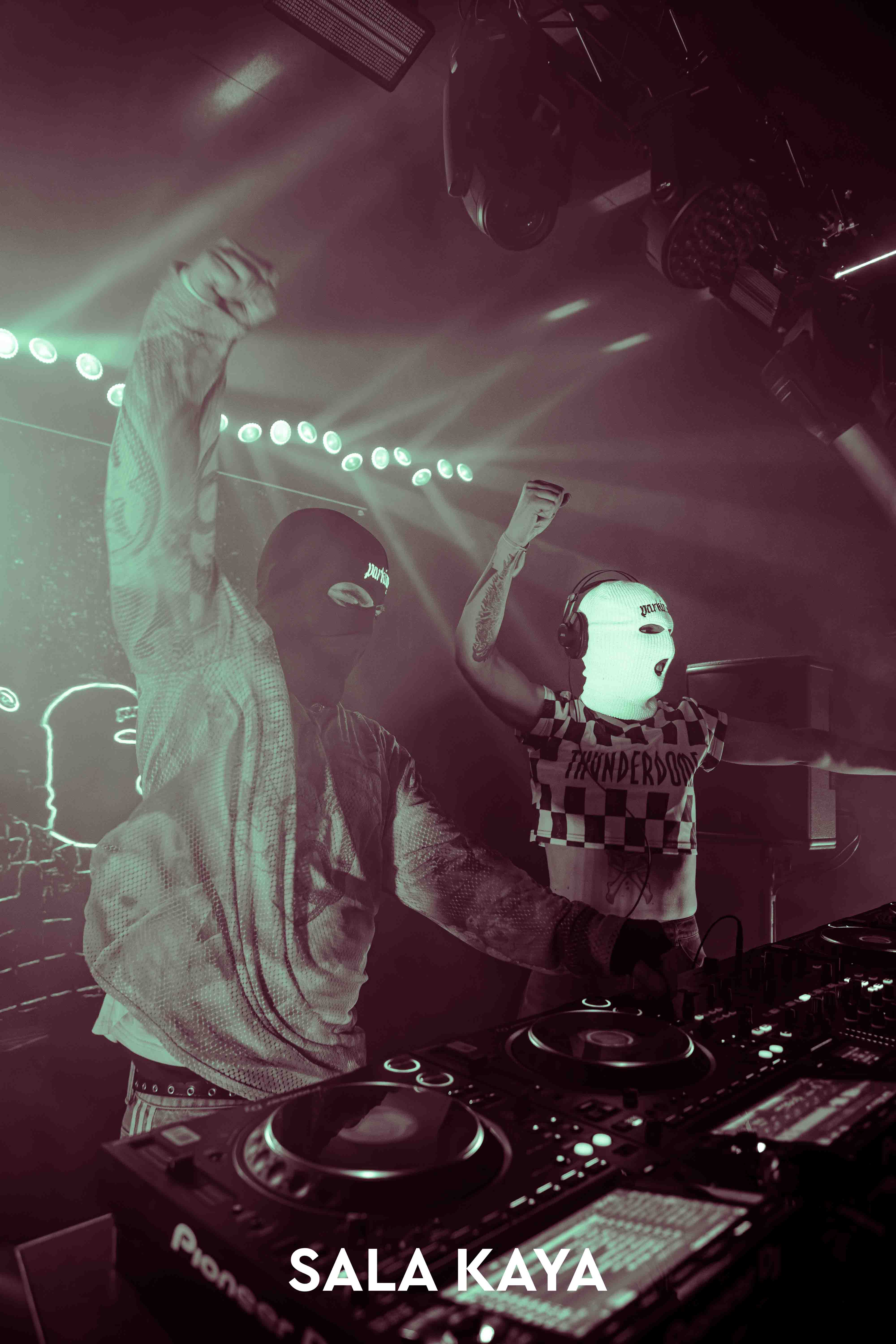 foto de público de PARKINEOS & AMYGDALA