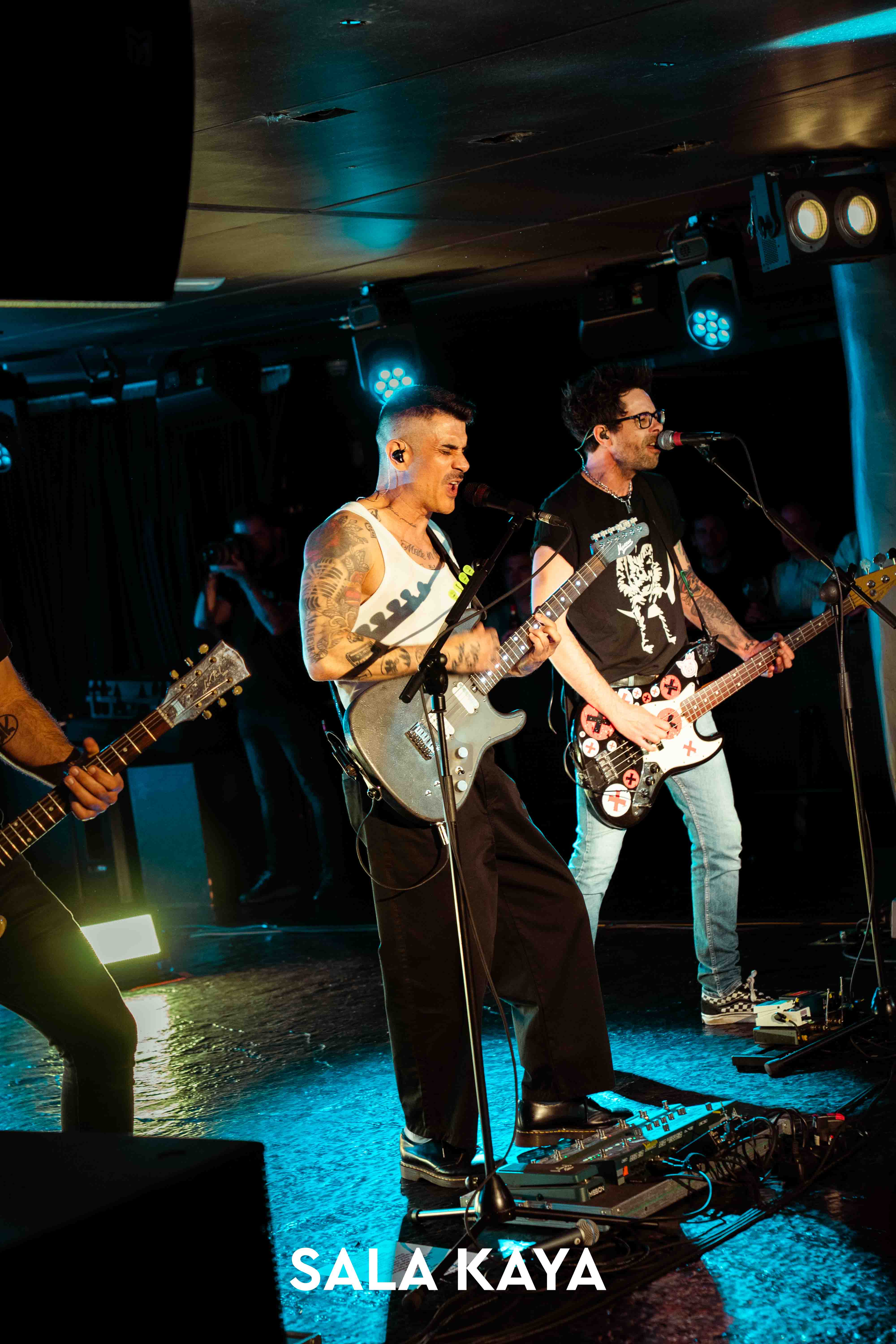 foto de público de PIGNOISE