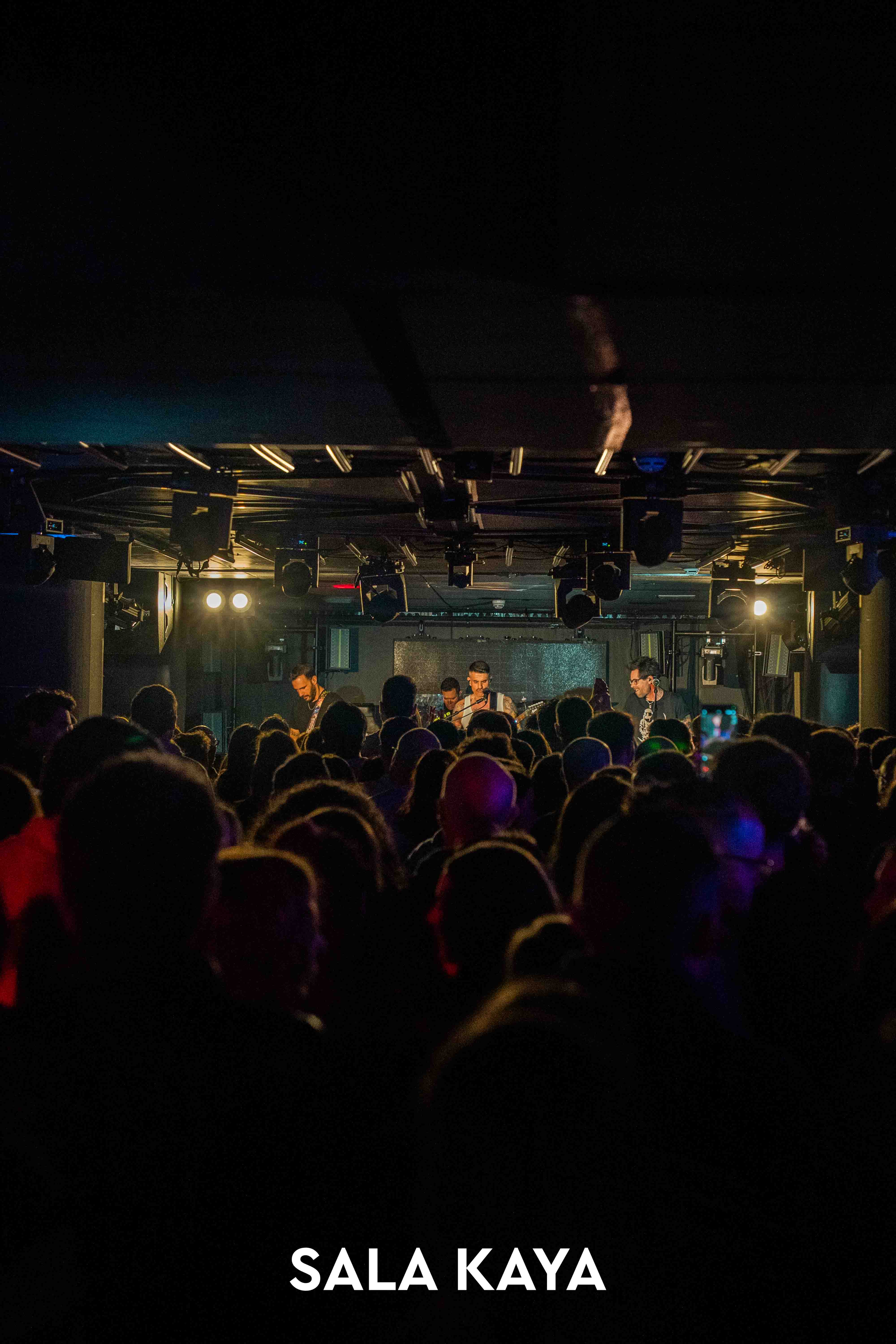 foto de público de PIGNOISE