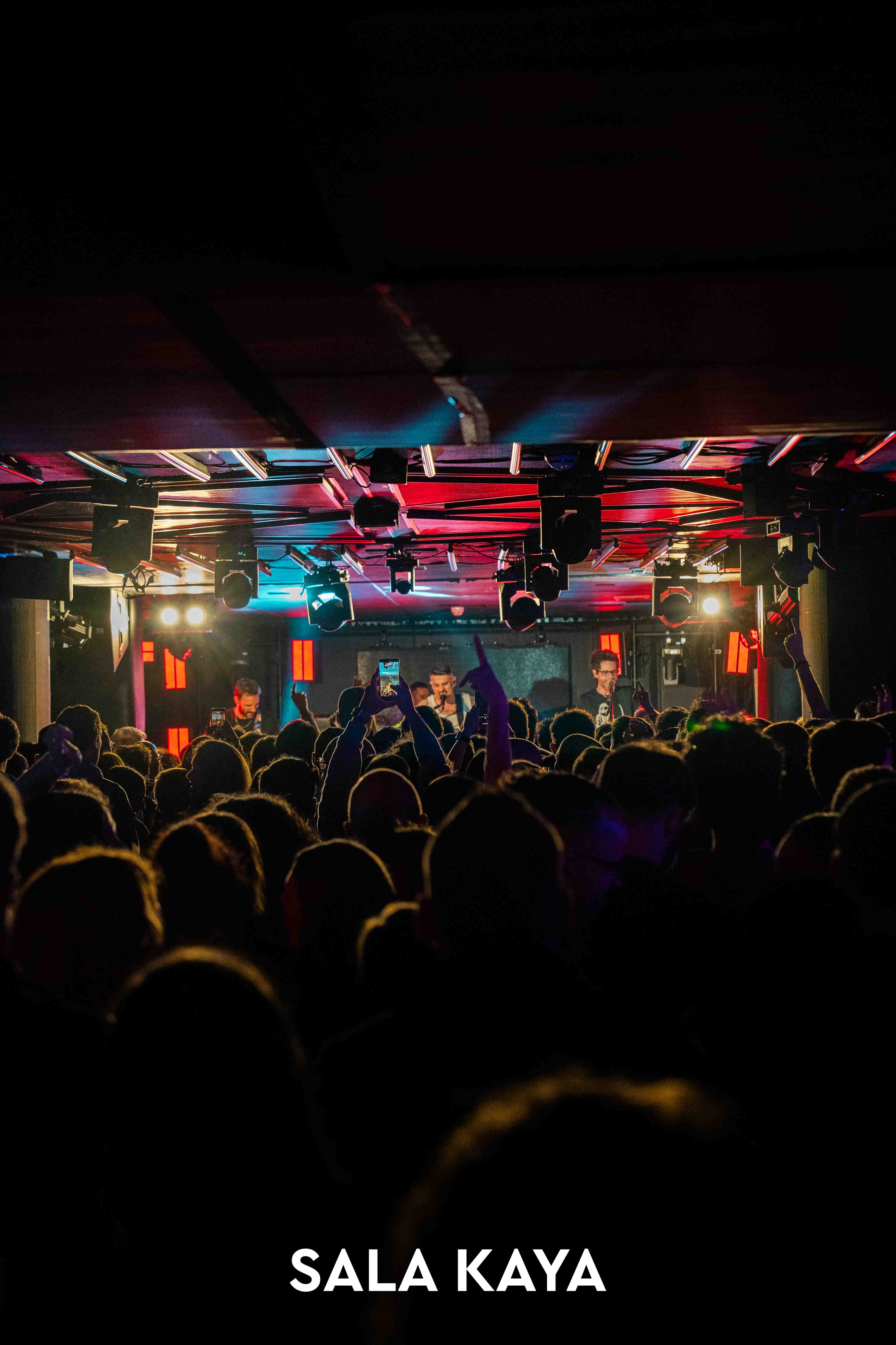 foto de público de PIGNOISE