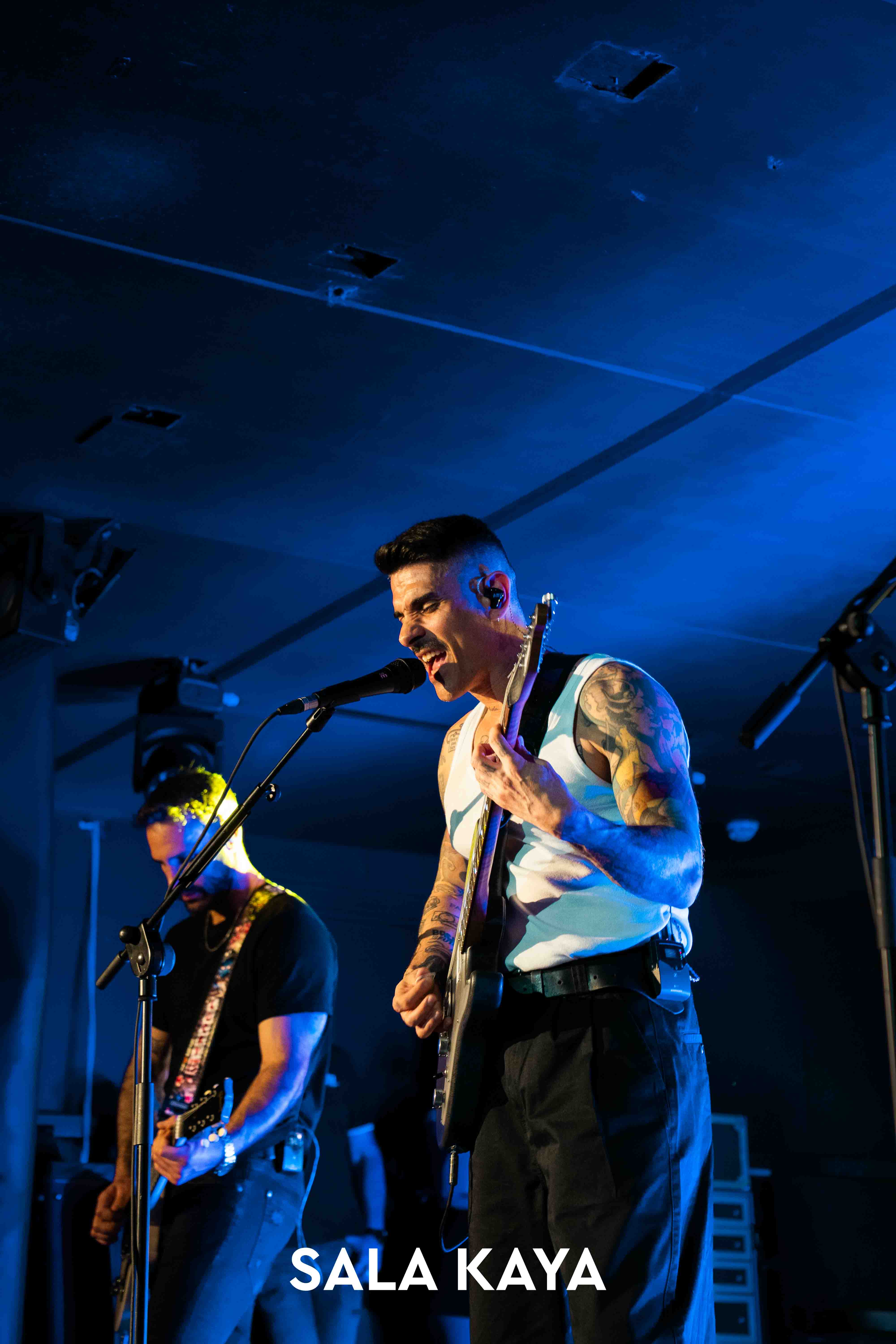 foto de público de PIGNOISE