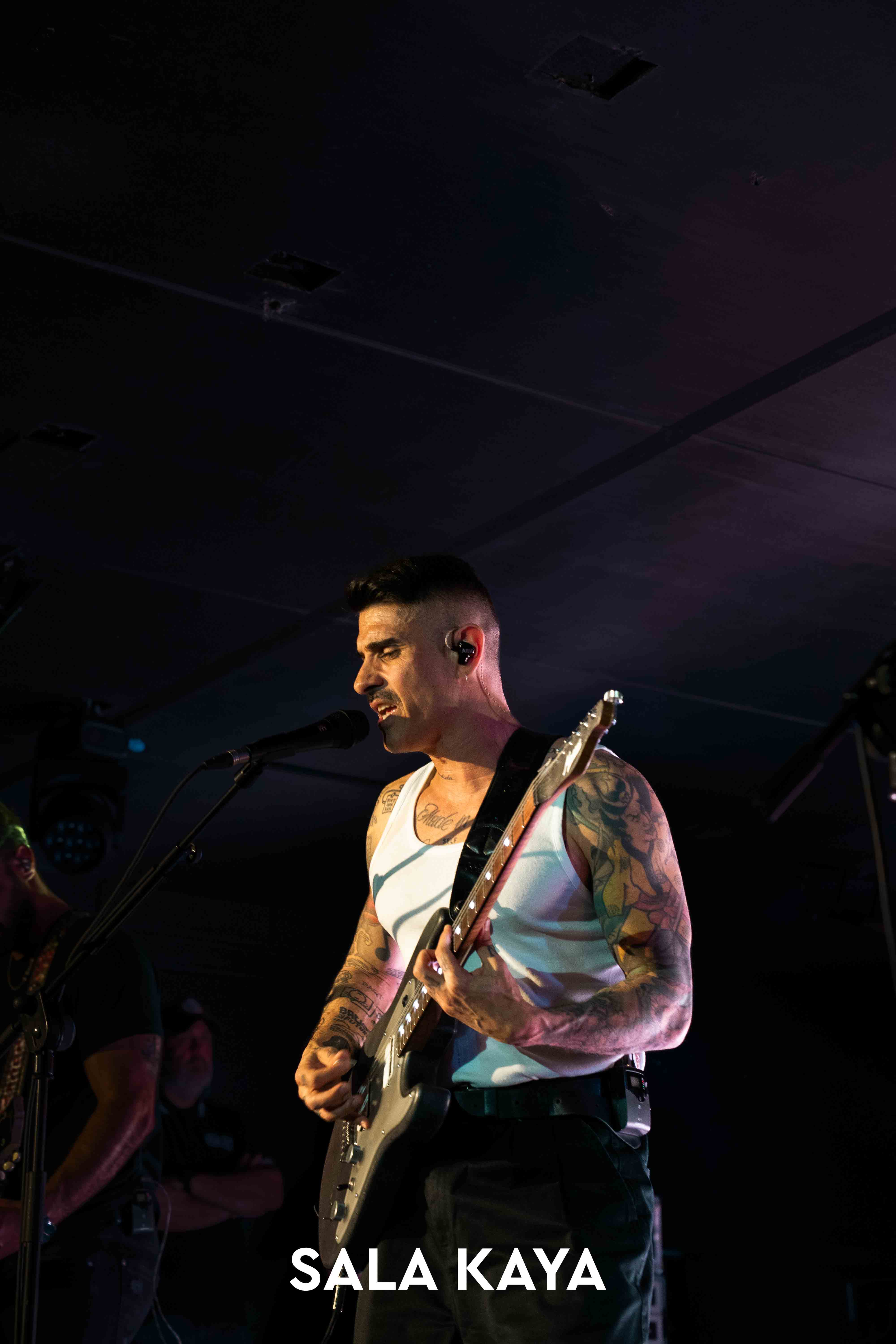 foto de público de PIGNOISE