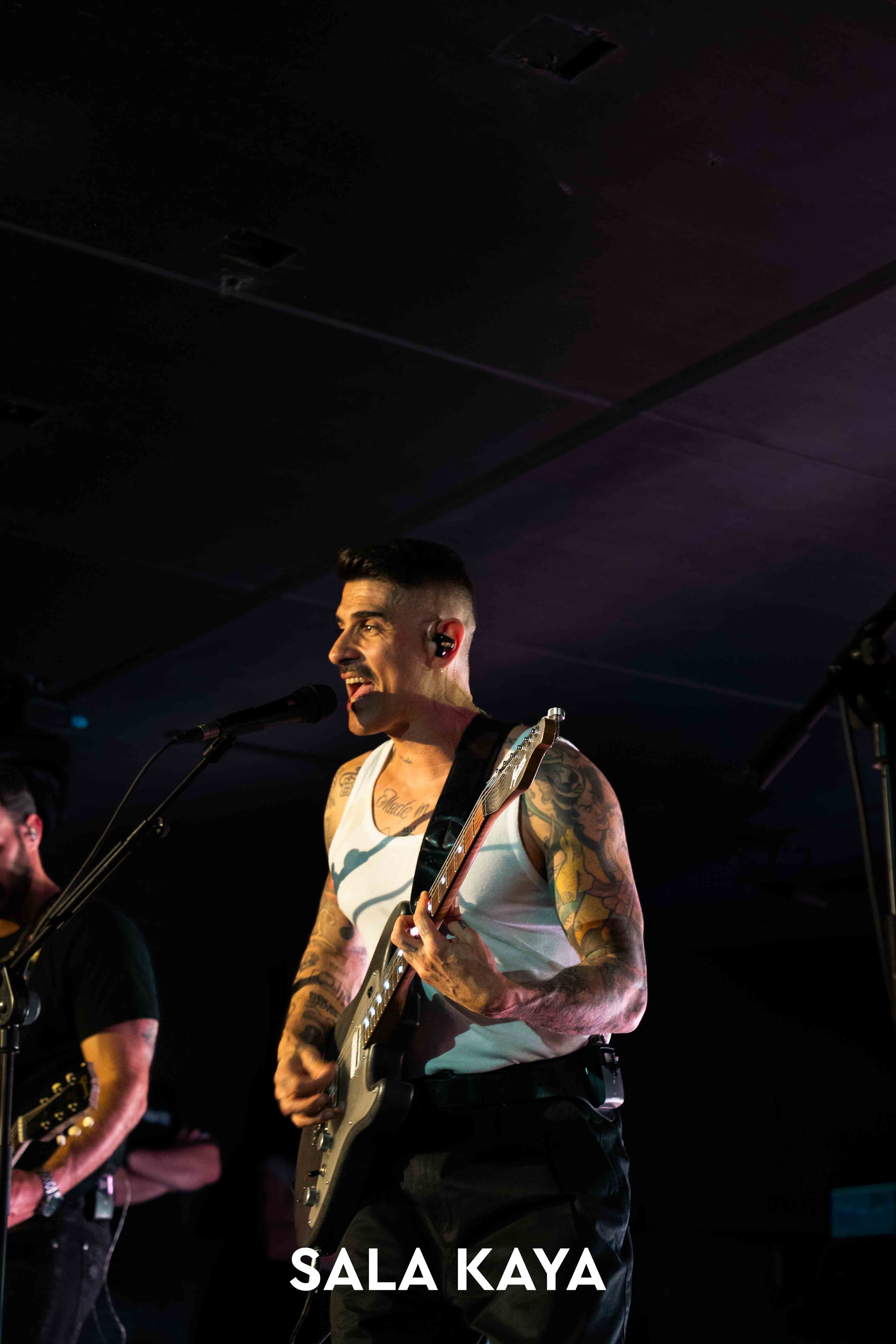 foto de público de PIGNOISE