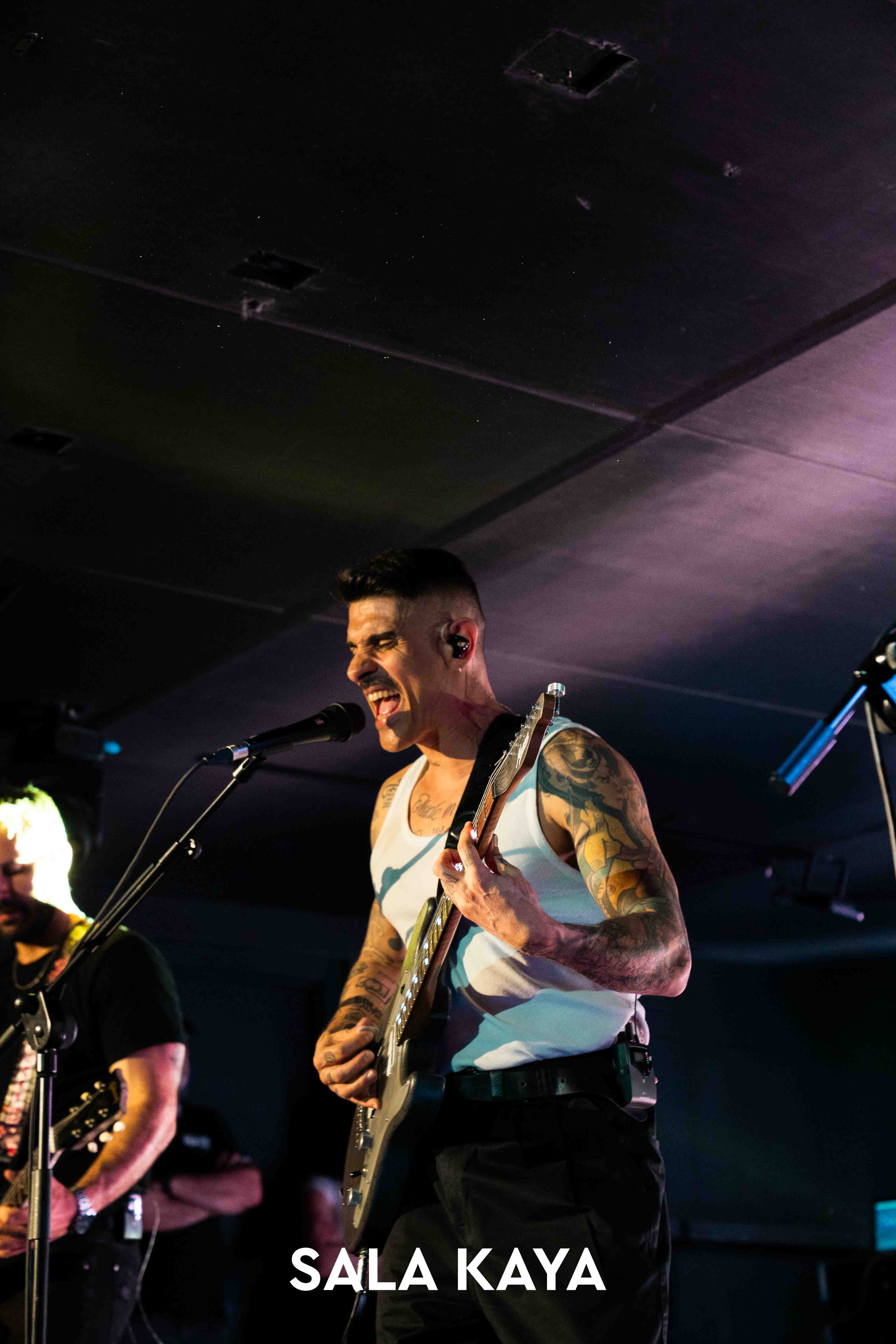 foto de público de PIGNOISE