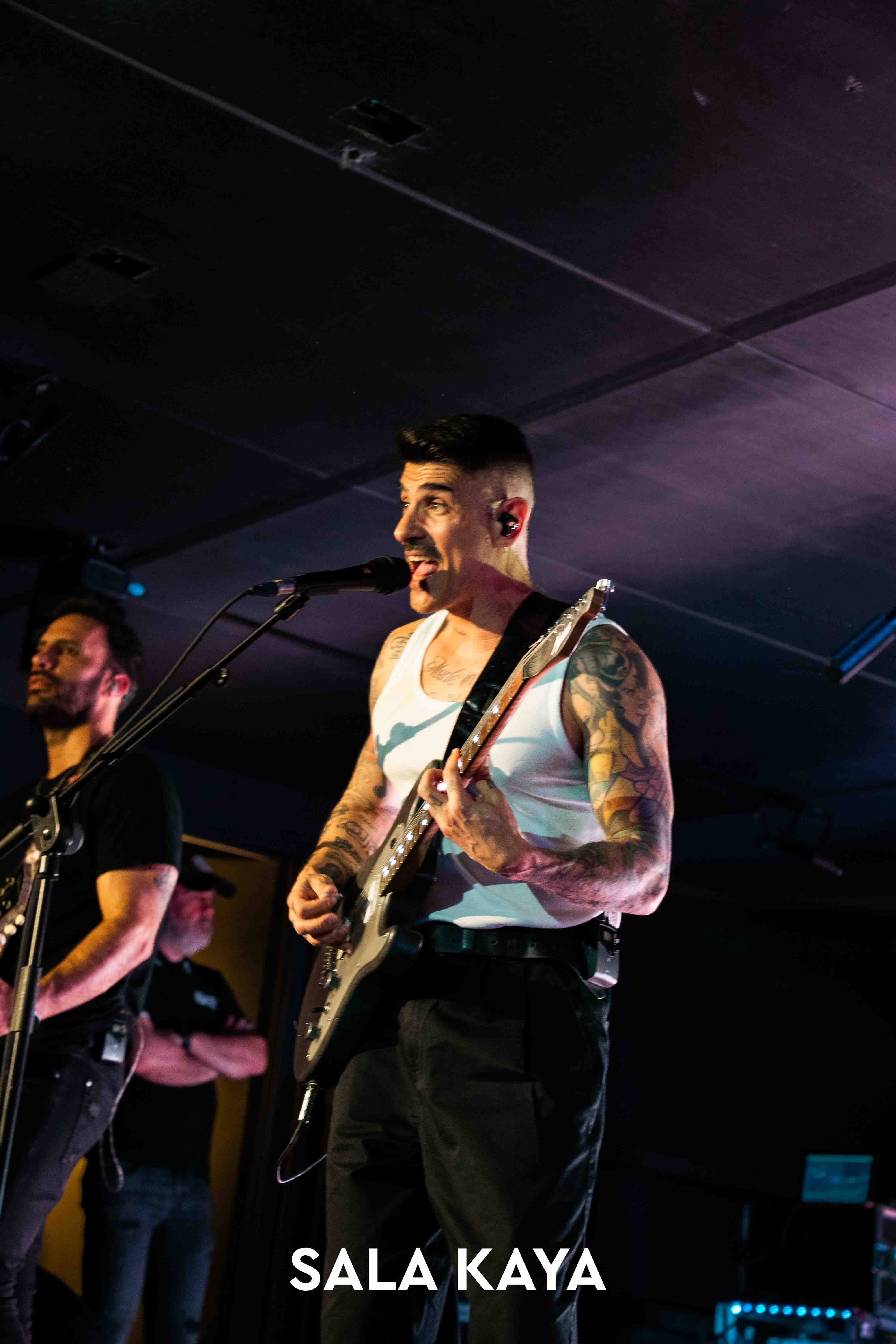 foto de público de PIGNOISE