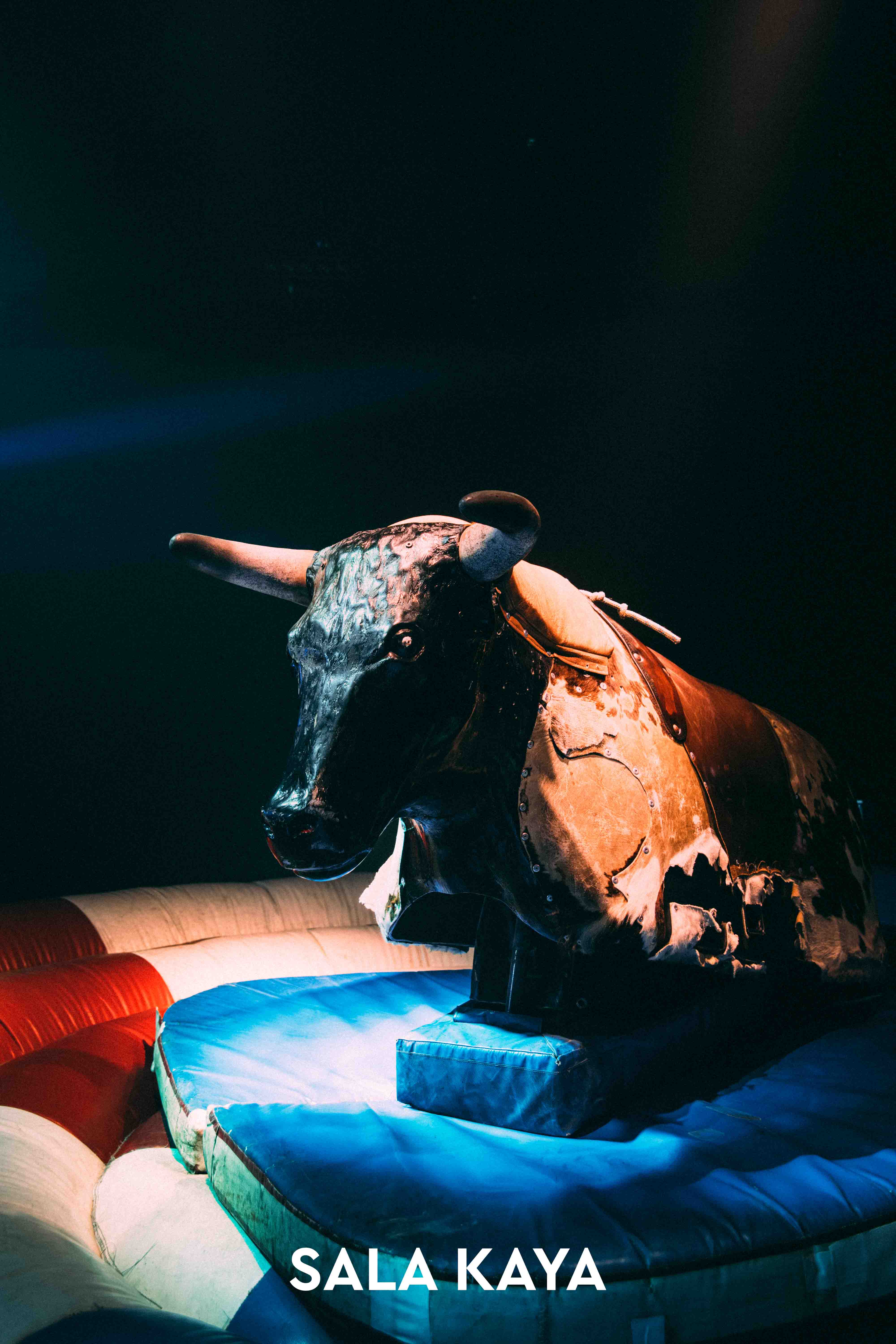 foto de público de RODEO PARTY