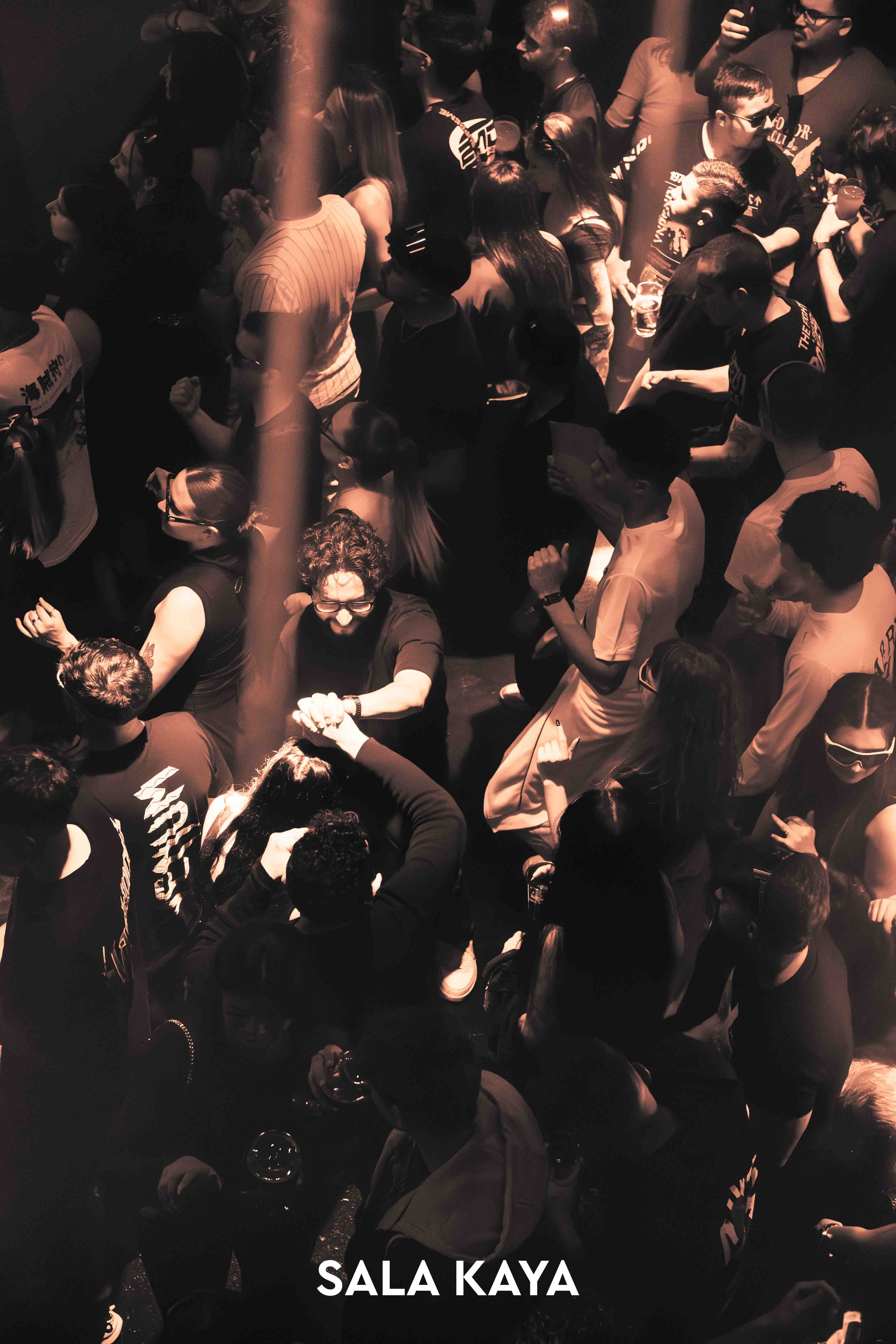 foto de público de SKRYPTION & DEXPHASE