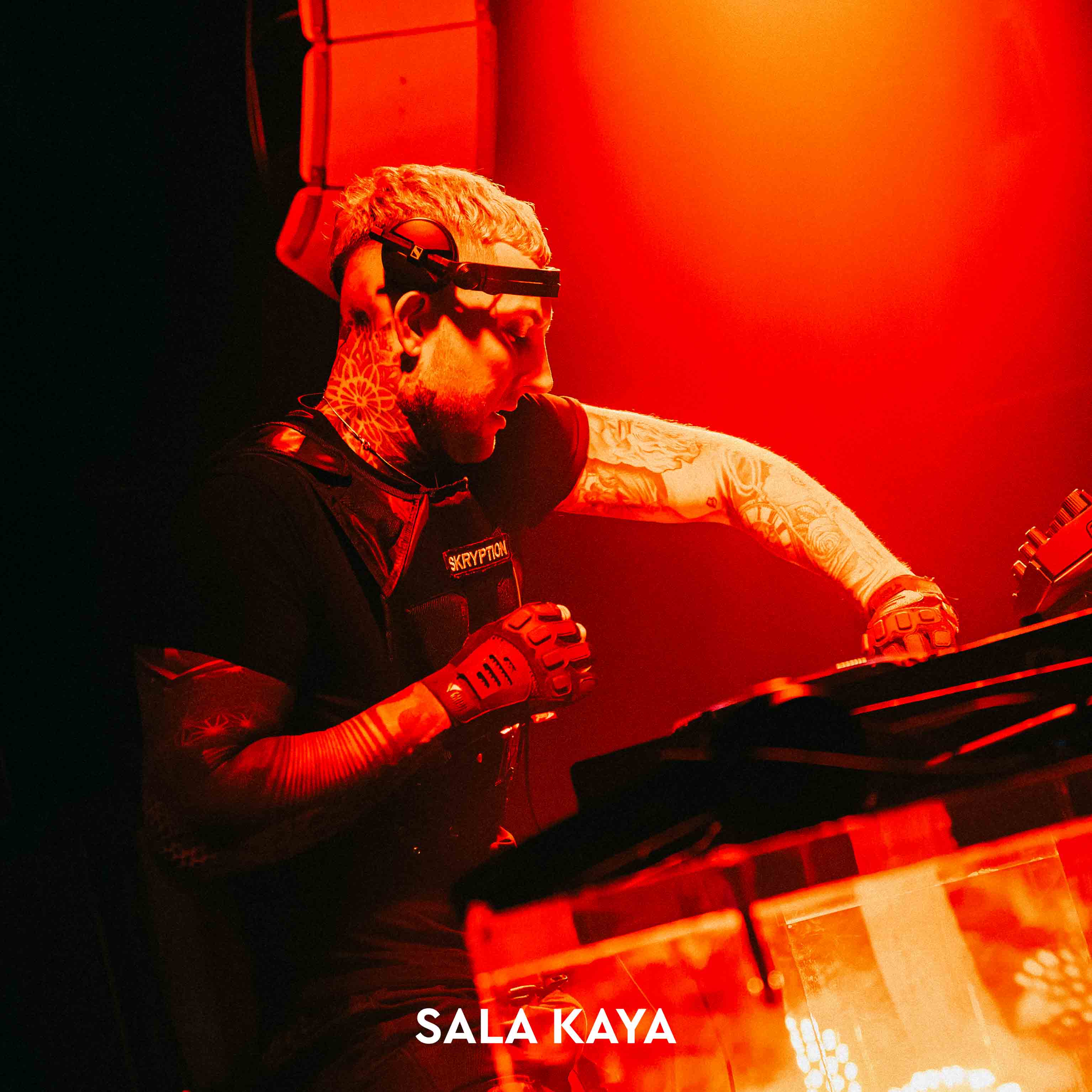 foto de público de SKRYPTION & DEXPHASE